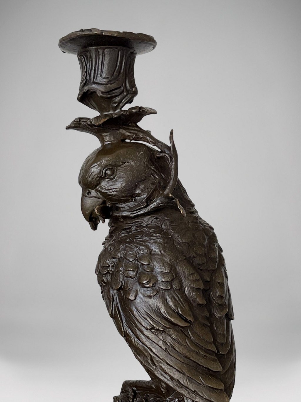 Paire de bougeoirs aux perroquets en bronze patiné sur socles noirs – Style Napoléon III / XIXe