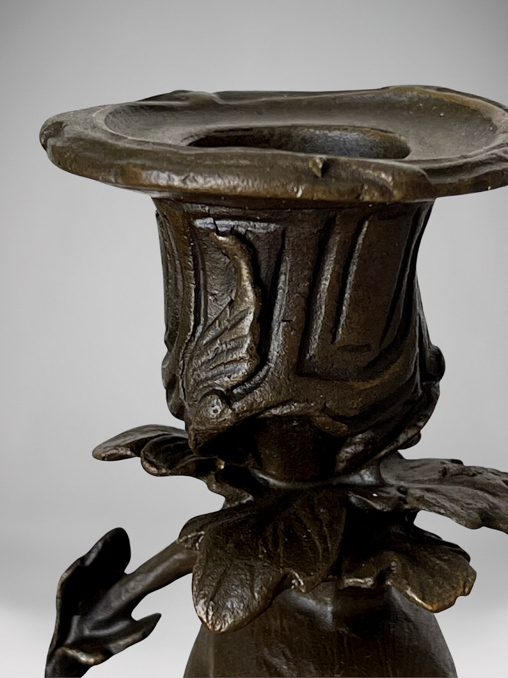 Paire de bougeoirs aux perroquets en bronze patiné sur socles noirs – Style Napoléon III / XIXe