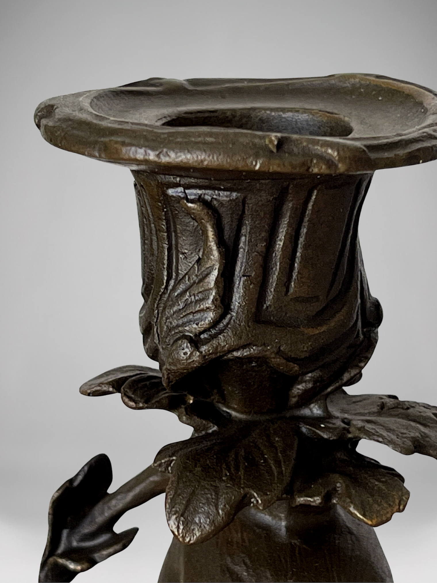 Paire de bougeoirs aux perroquets en bronze patiné sur socles noirs – Style Napoléon III / XIXe