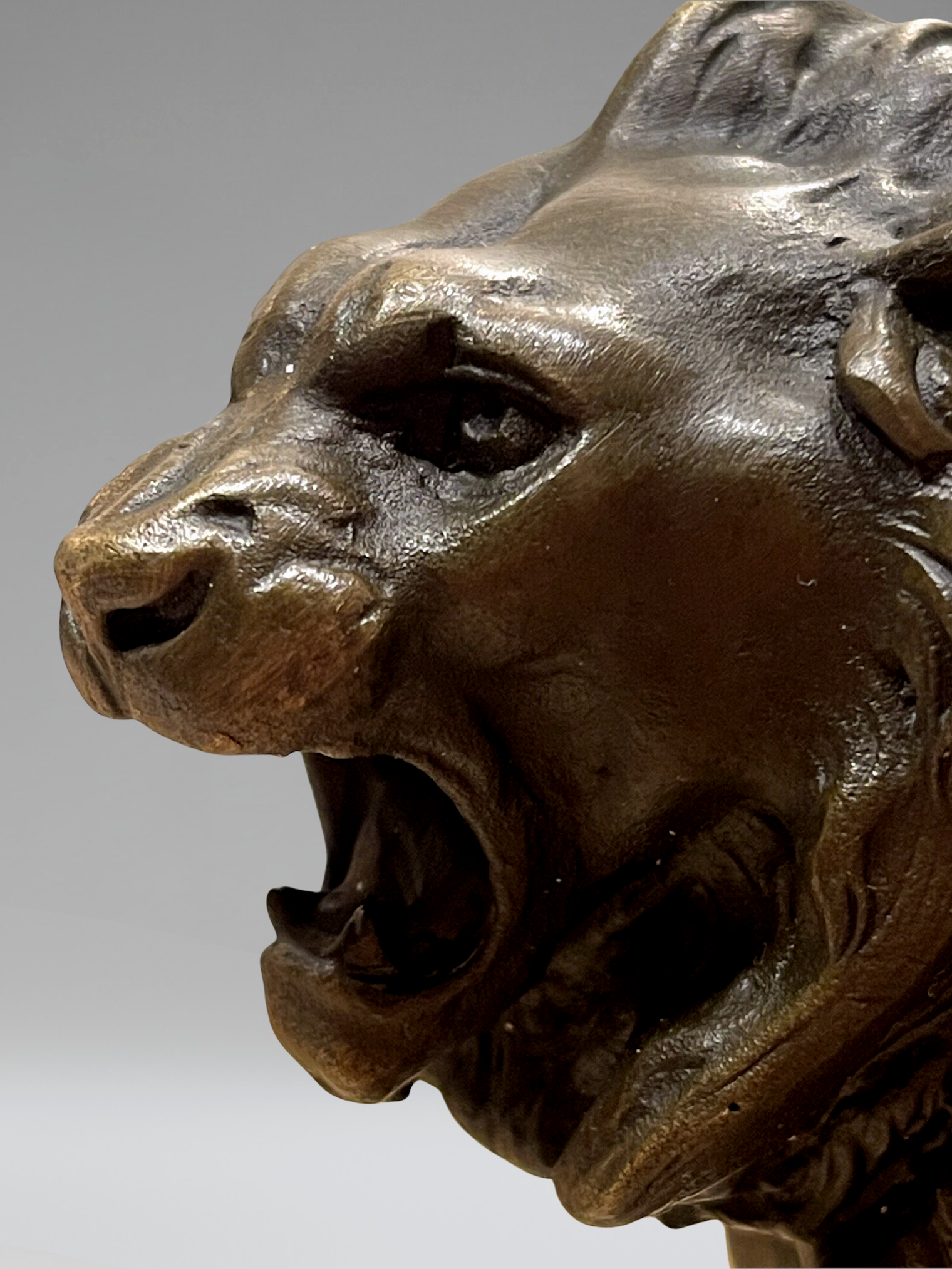 Bronzeskulptur eines brüllenden Löwen, patiniert, nach Ch. Valton auf schwarzem Sockel im Stil des 19. Jahrhunderts