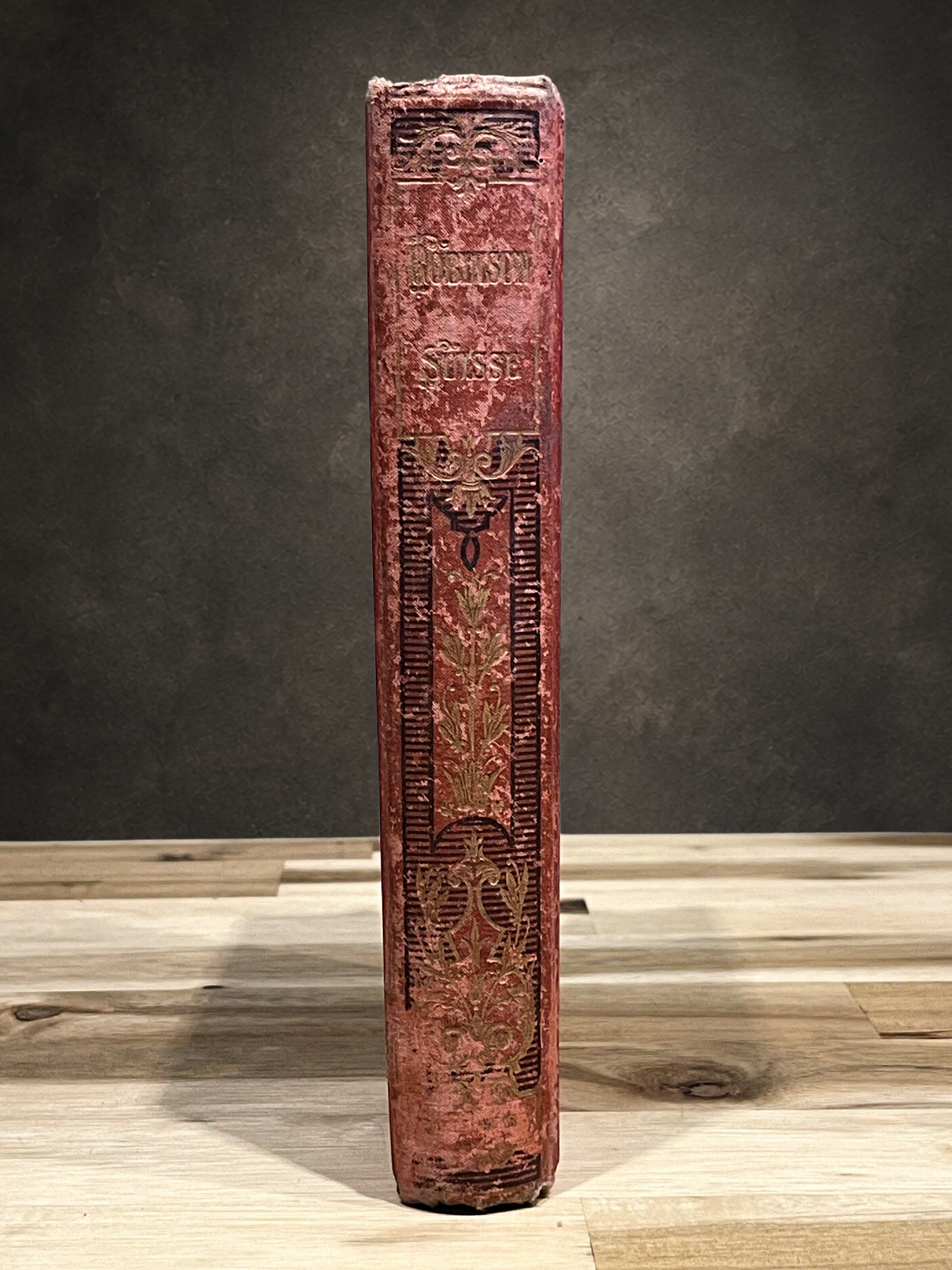 Le Robinson Suisse – Livre ancien illustré XIXe siècle – Cartonnage rouge et or – Émile Guérin Éditeur