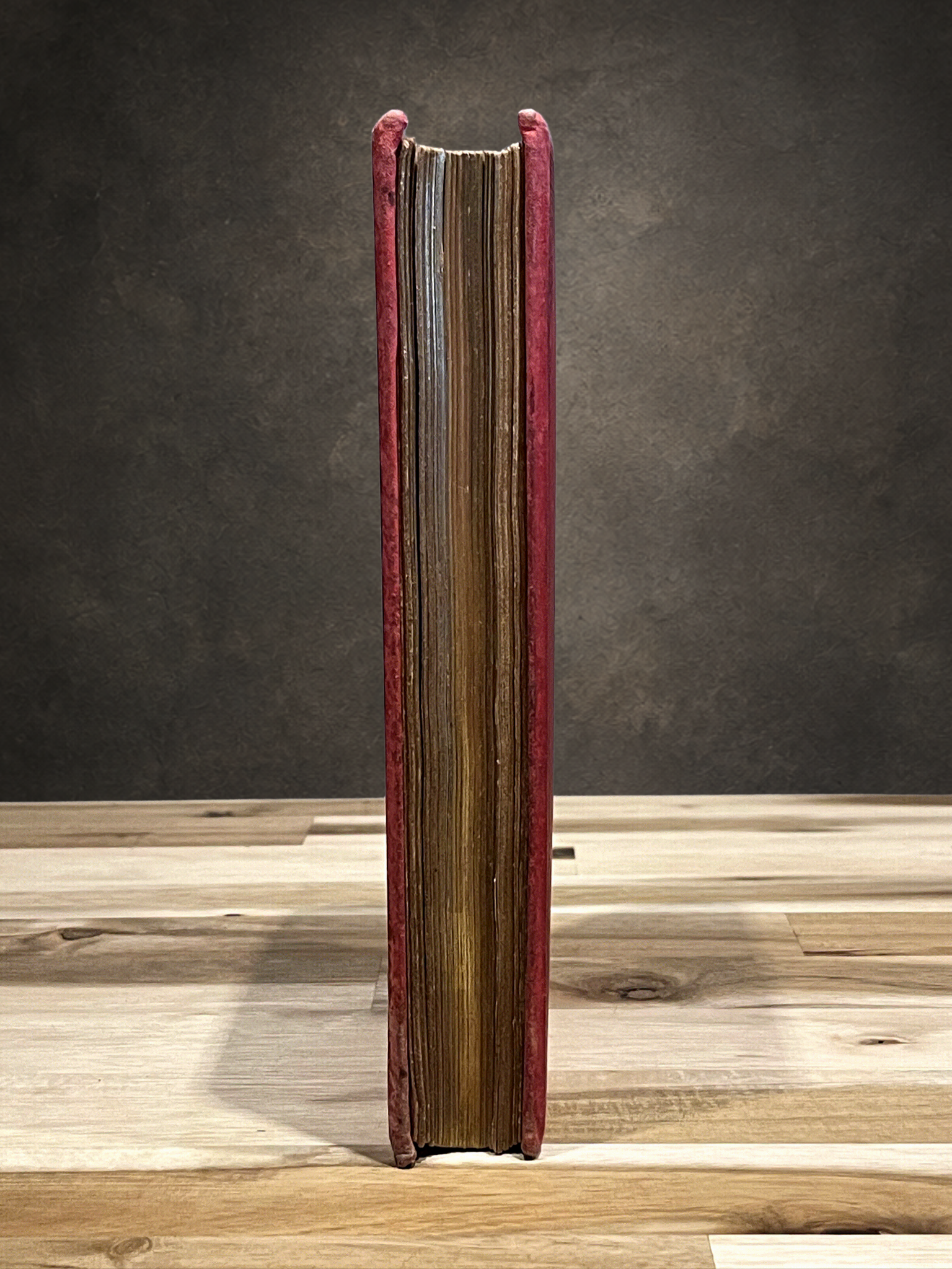 Le Robinson Suisse – Livre ancien illustré XIXe siècle – Cartonnage rouge et or – Émile Guérin Éditeur