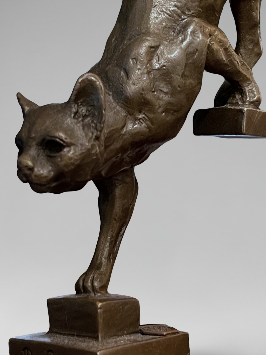Bronze d’après De Coux – Chat descendant un escalier – Sculpture animalière XXᵉ - 29 cm