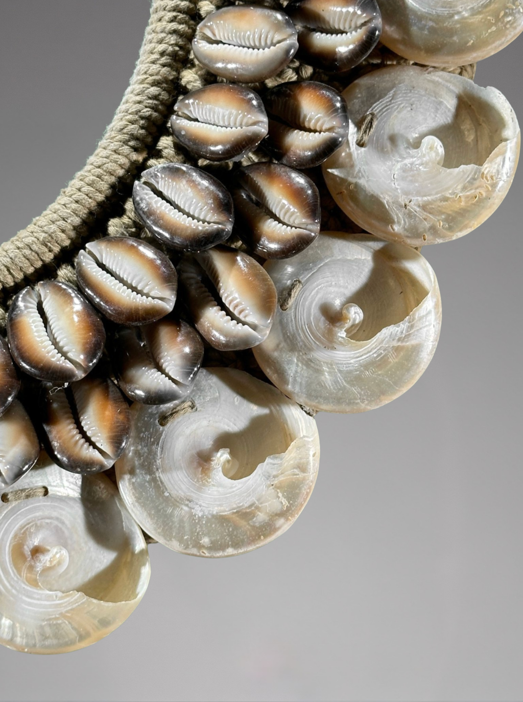 Dekoratives ethnisches Muschelornament – Ozeanien – 40 cm
