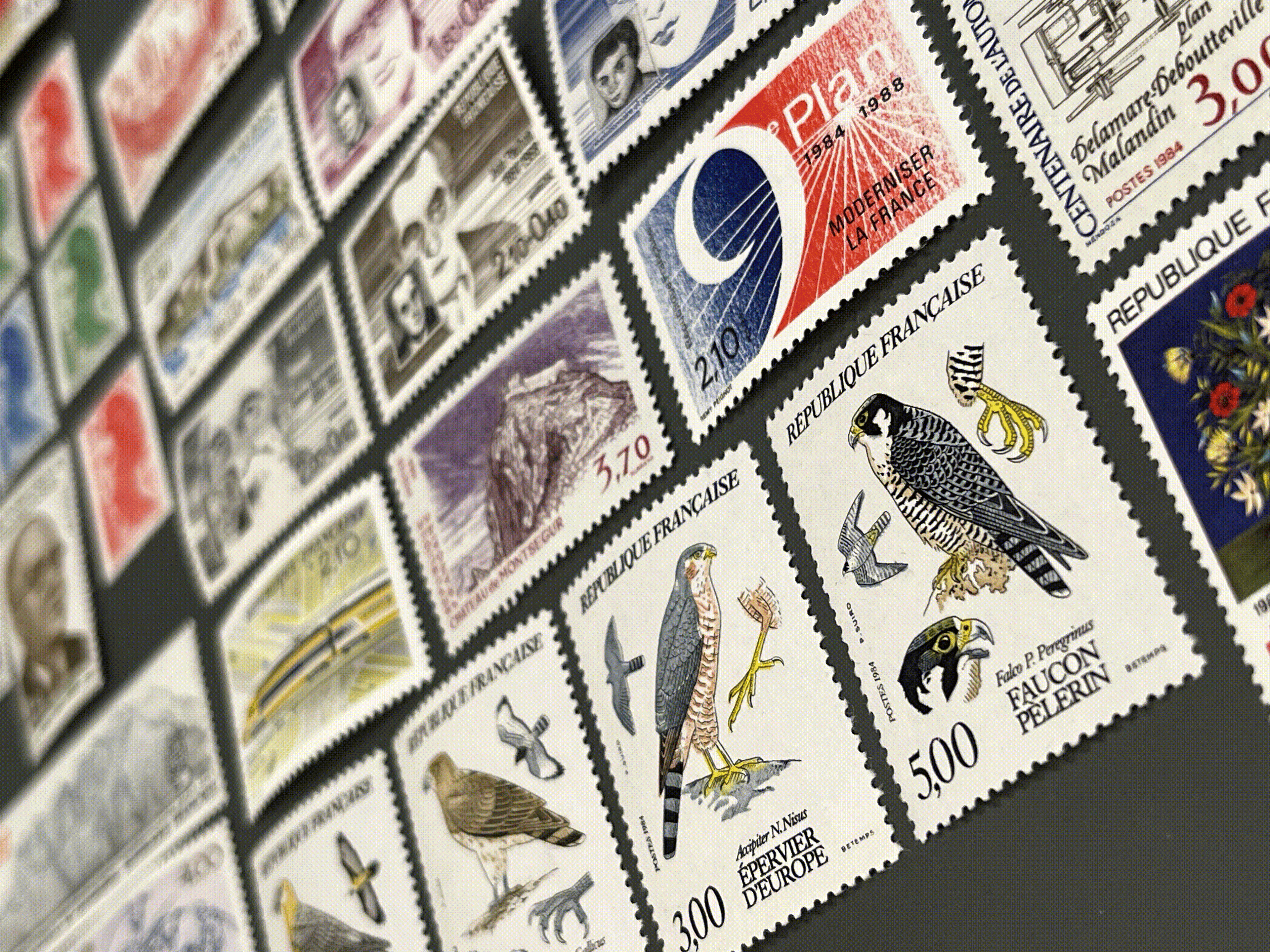 Timbre France Collection - Année 1984 complète - NEUFS** sans charnière - MNH