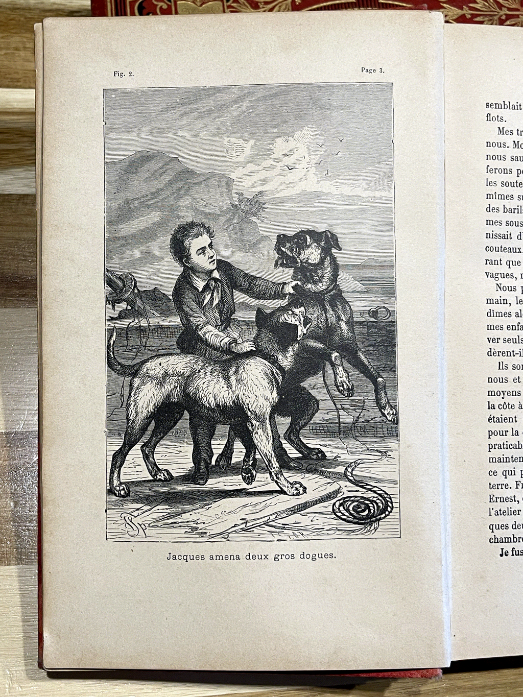 Le Robinson Suisse – Livre ancien illustré XIXe siècle – Cartonnage rouge et or – Émile Guérin Éditeur