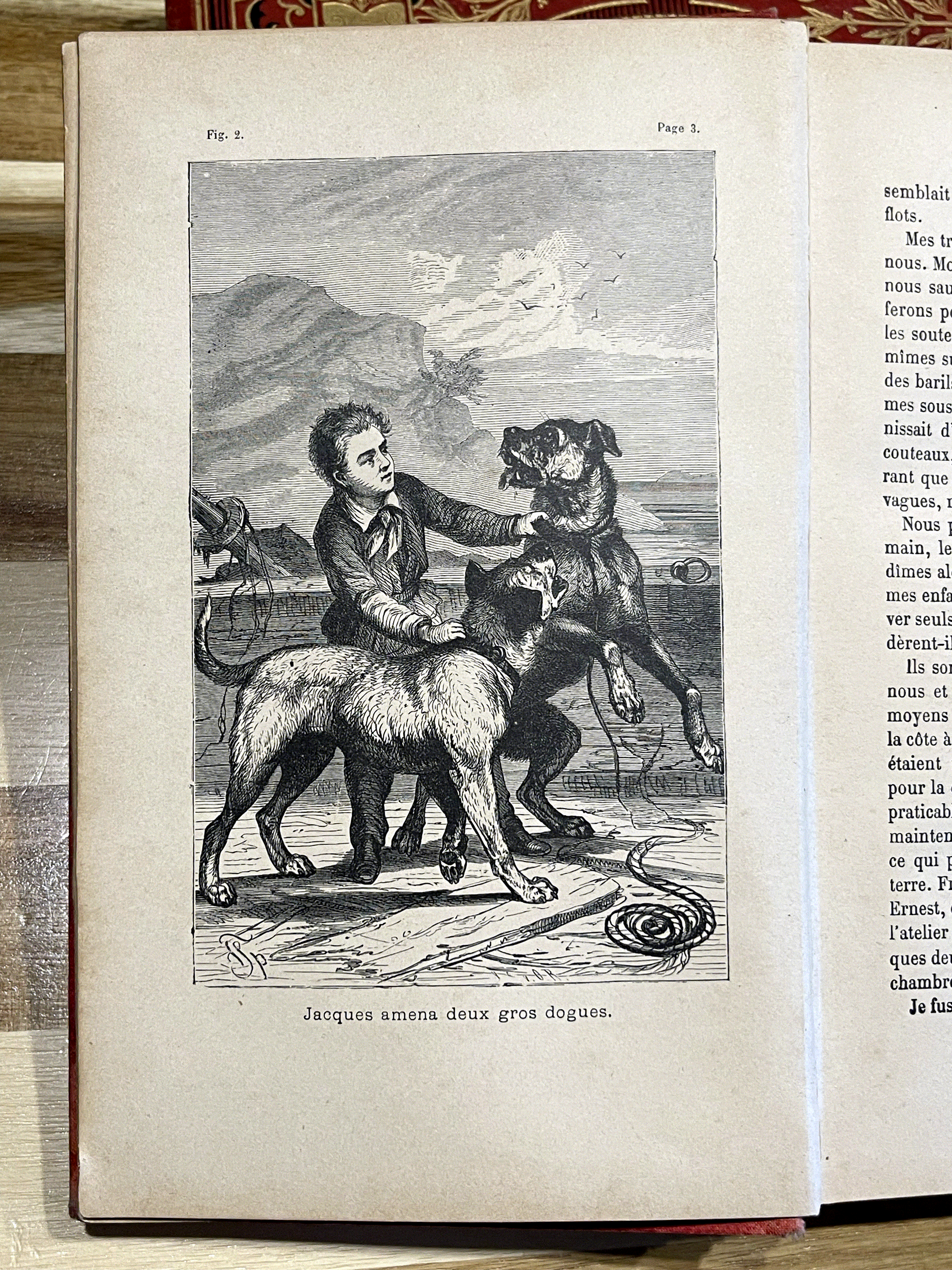 Le Robinson Suisse – Livre ancien illustré XIXe siècle – Cartonnage rouge et or – Émile Guérin Éditeur
