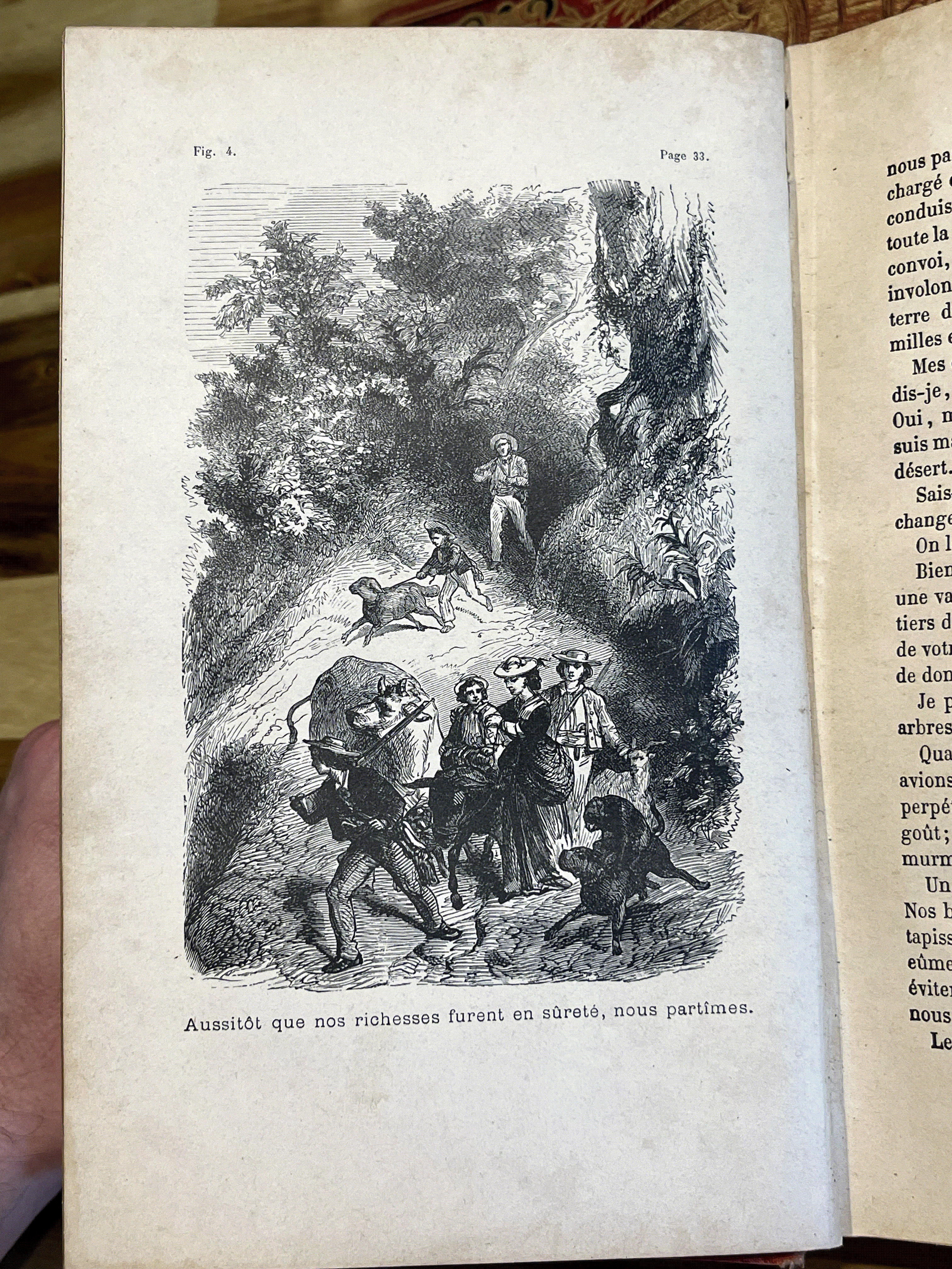 Le Robinson Suisse – Livre ancien illustré XIXe siècle – Cartonnage rouge et or – Émile Guérin Éditeur