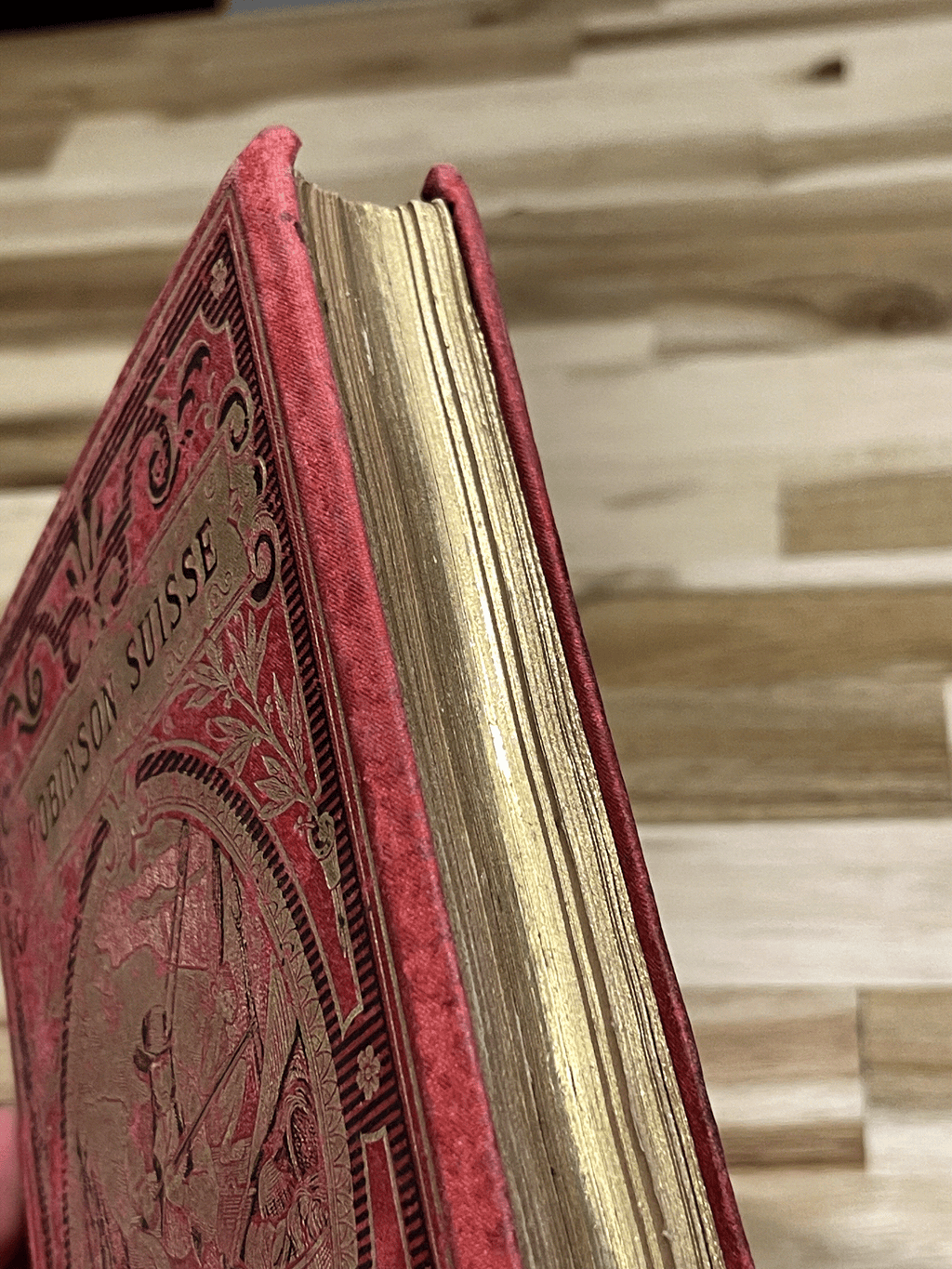 Le Robinson Suisse – Livre ancien illustré XIXe siècle – Cartonnage rouge et or – Émile Guérin Éditeur