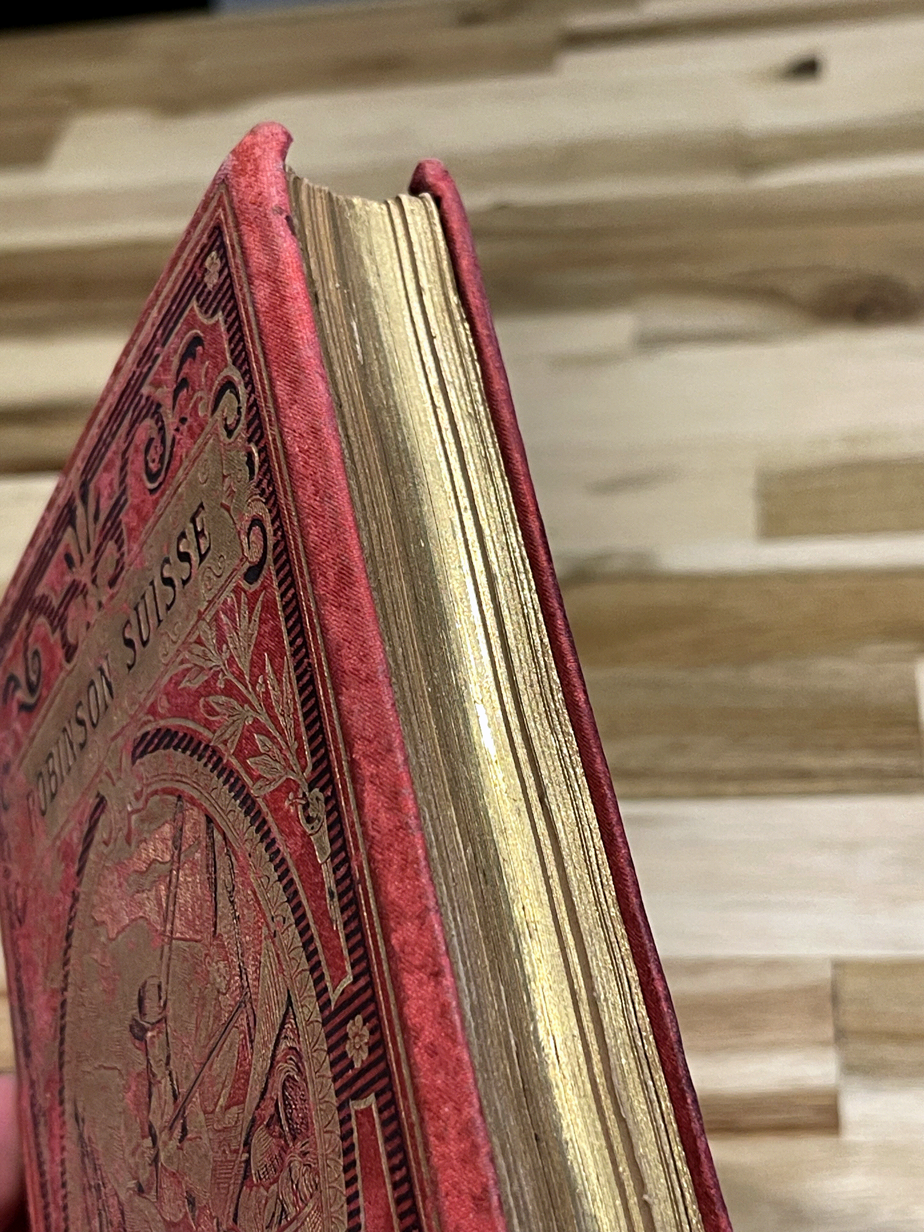 Le Robinson Suisse – Livre ancien illustré XIXe siècle – Cartonnage rouge et or – Émile Guérin Éditeur