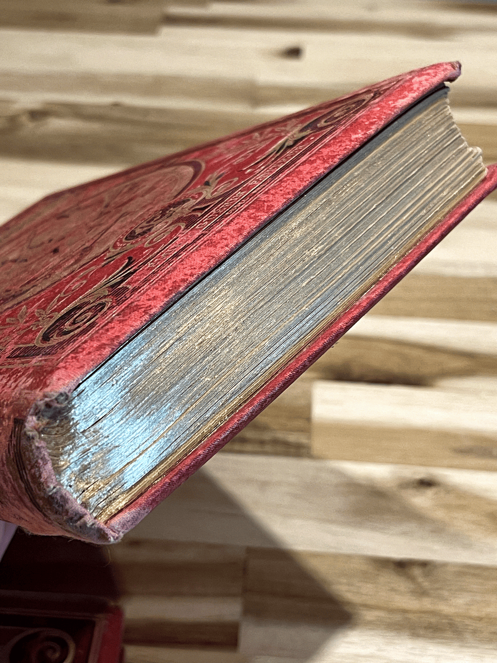 Le Robinson Suisse – Livre ancien illustré XIXe siècle – Cartonnage rouge et or – Émile Guérin Éditeur