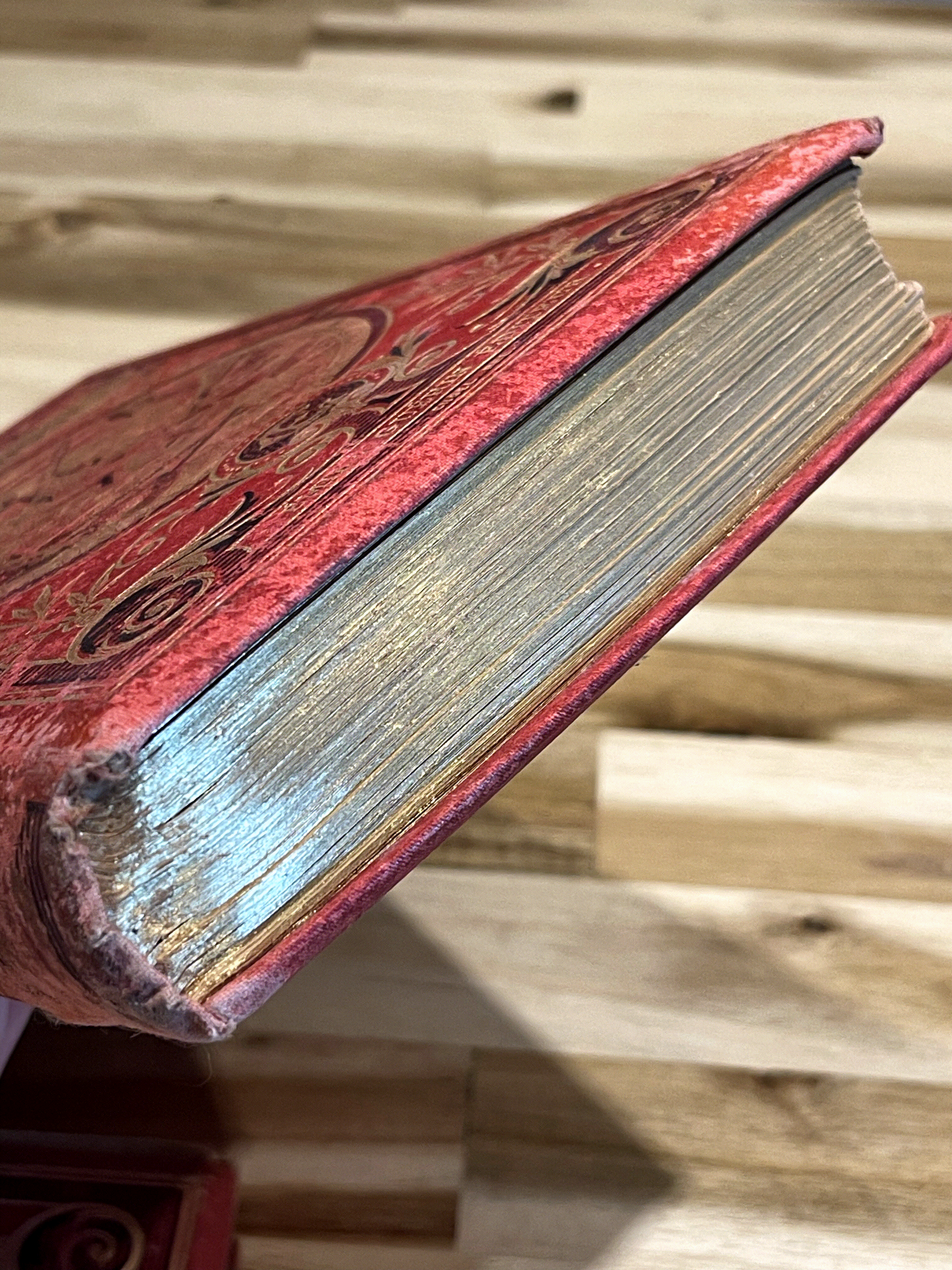 Le Robinson Suisse – Livre ancien illustré XIXe siècle – Cartonnage rouge et or – Émile Guérin Éditeur