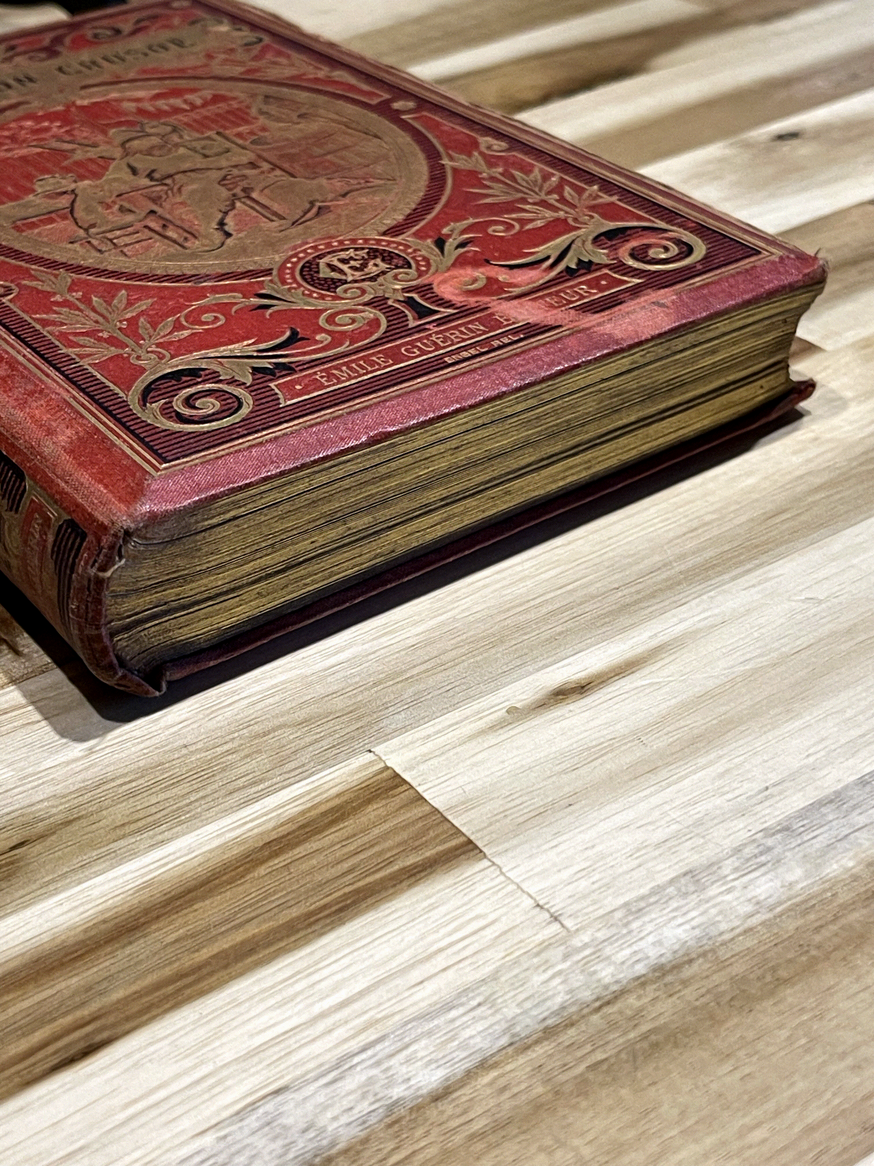 Livre ancien “Aventures de Robinson Crusoé” – Daniel De Foë – Émile Guérin Éditeur – Fin XIXe siècle – Reliure rouge illustrée
