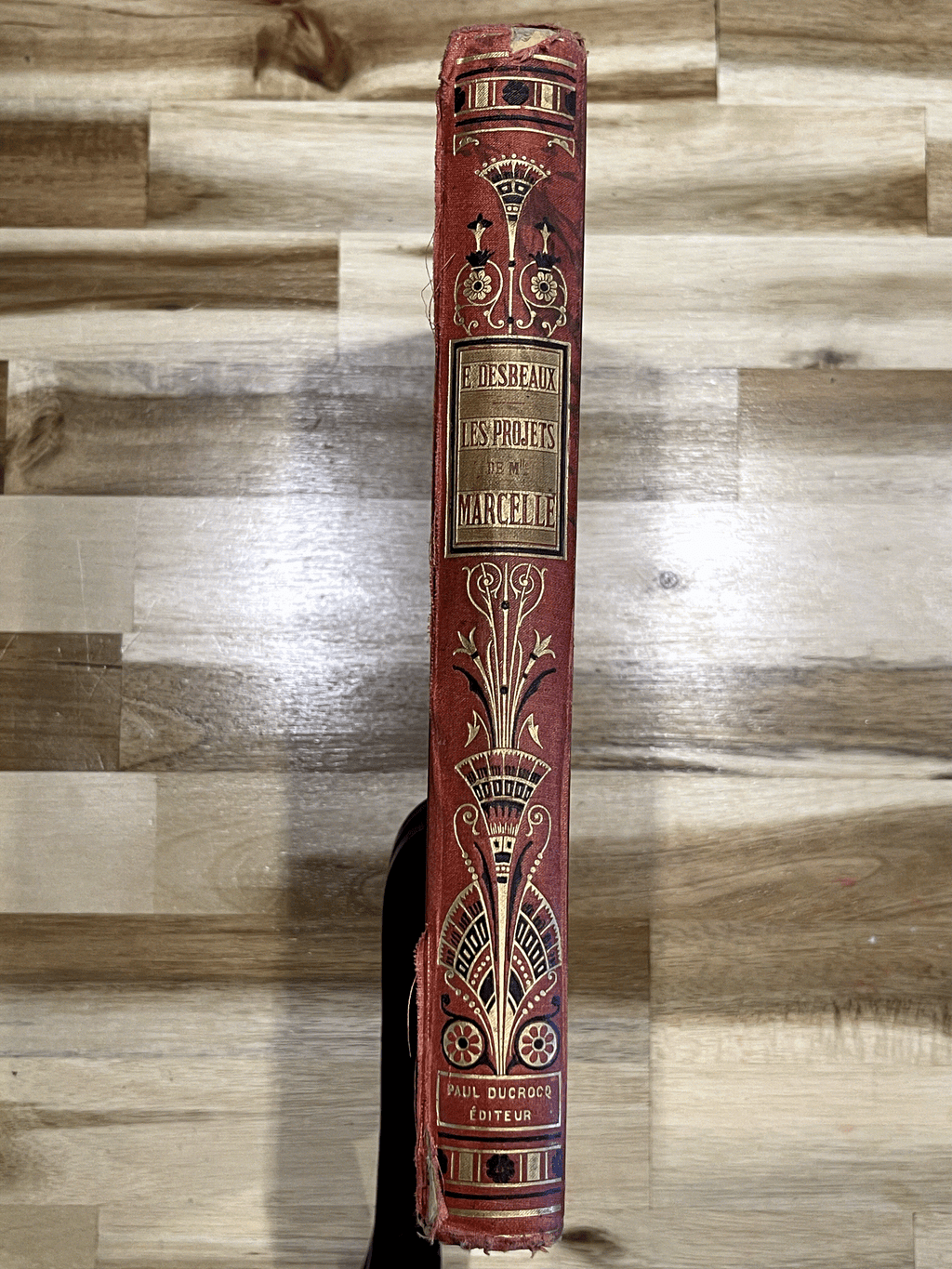 Les Projets de Mademoiselle Marcelle et les étonnements de M. Robert – Émile Desbeaux – Cartonnage illustré de 1885