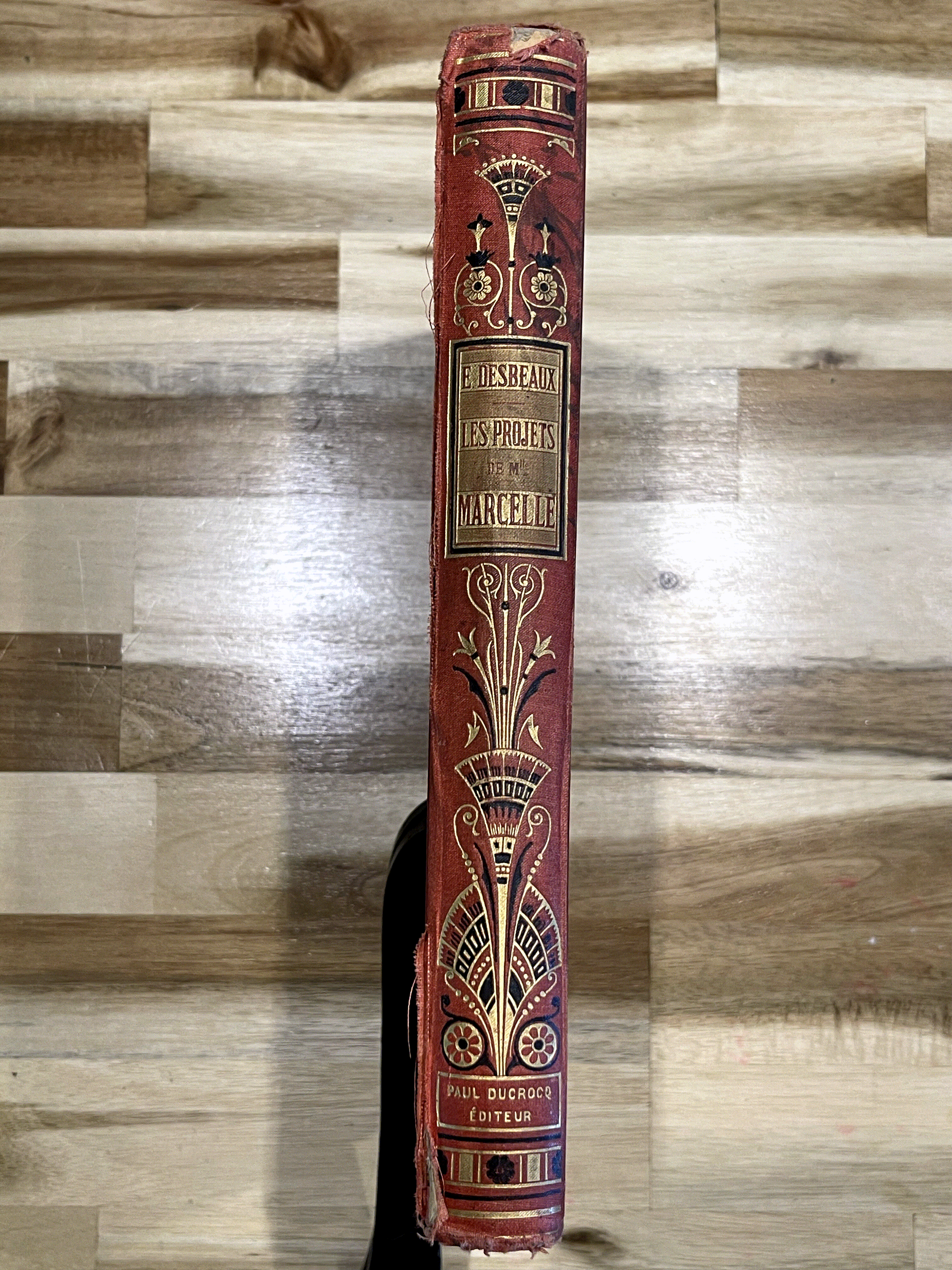 Les Projets de Mademoiselle Marcelle et les étonnements de M. Robert – Émile Desbeaux – Cartonnage illustré de 1885