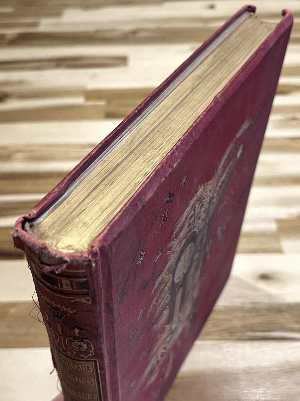 Les Projets de Mademoiselle Marcelle et les étonnements de M. Robert – Émile Desbeaux – Cartonnage illustré de 1885