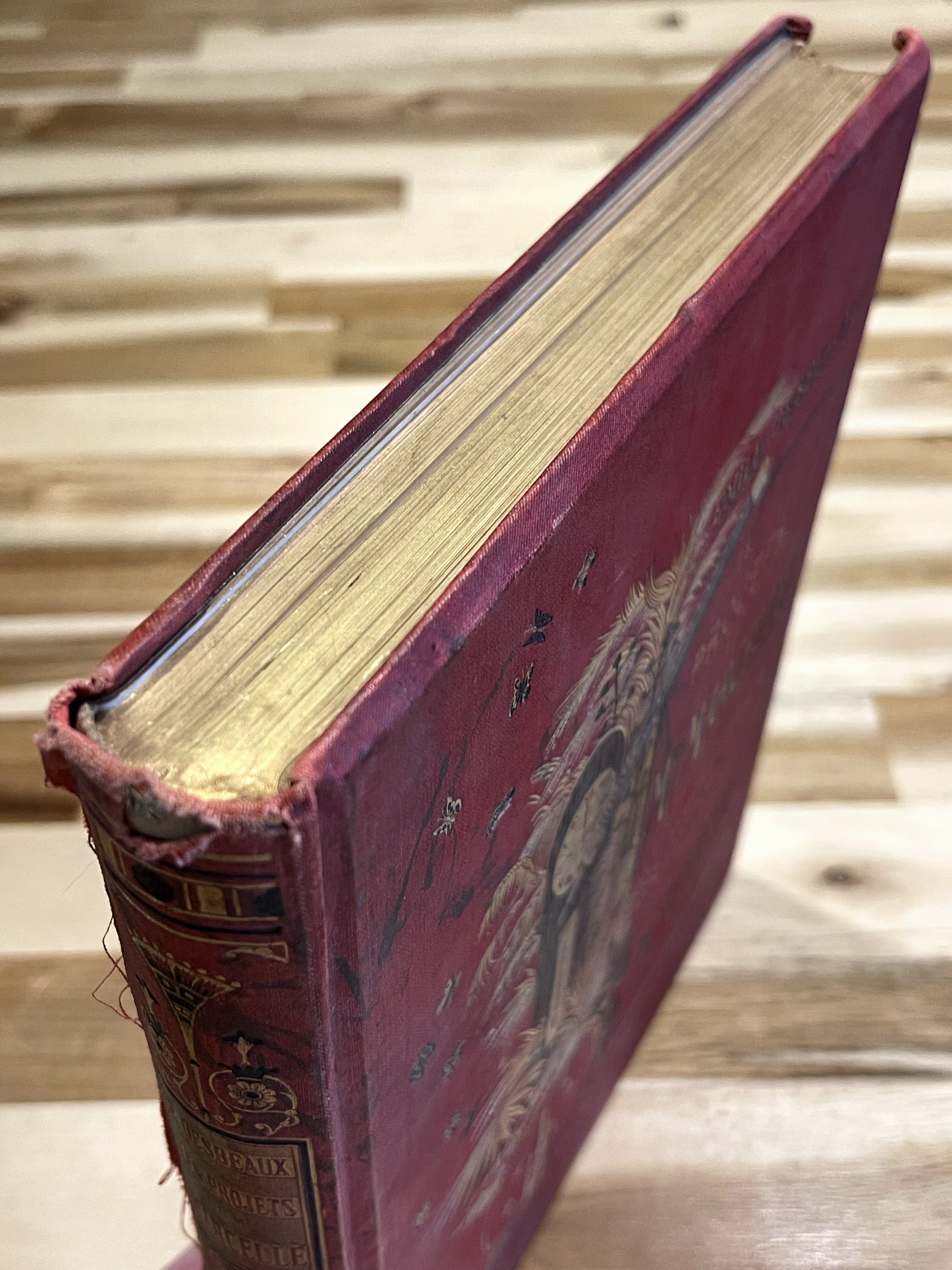 Les Projets de Mademoiselle Marcelle et les étonnements de M. Robert – Émile Desbeaux – Cartonnage illustré de 1885