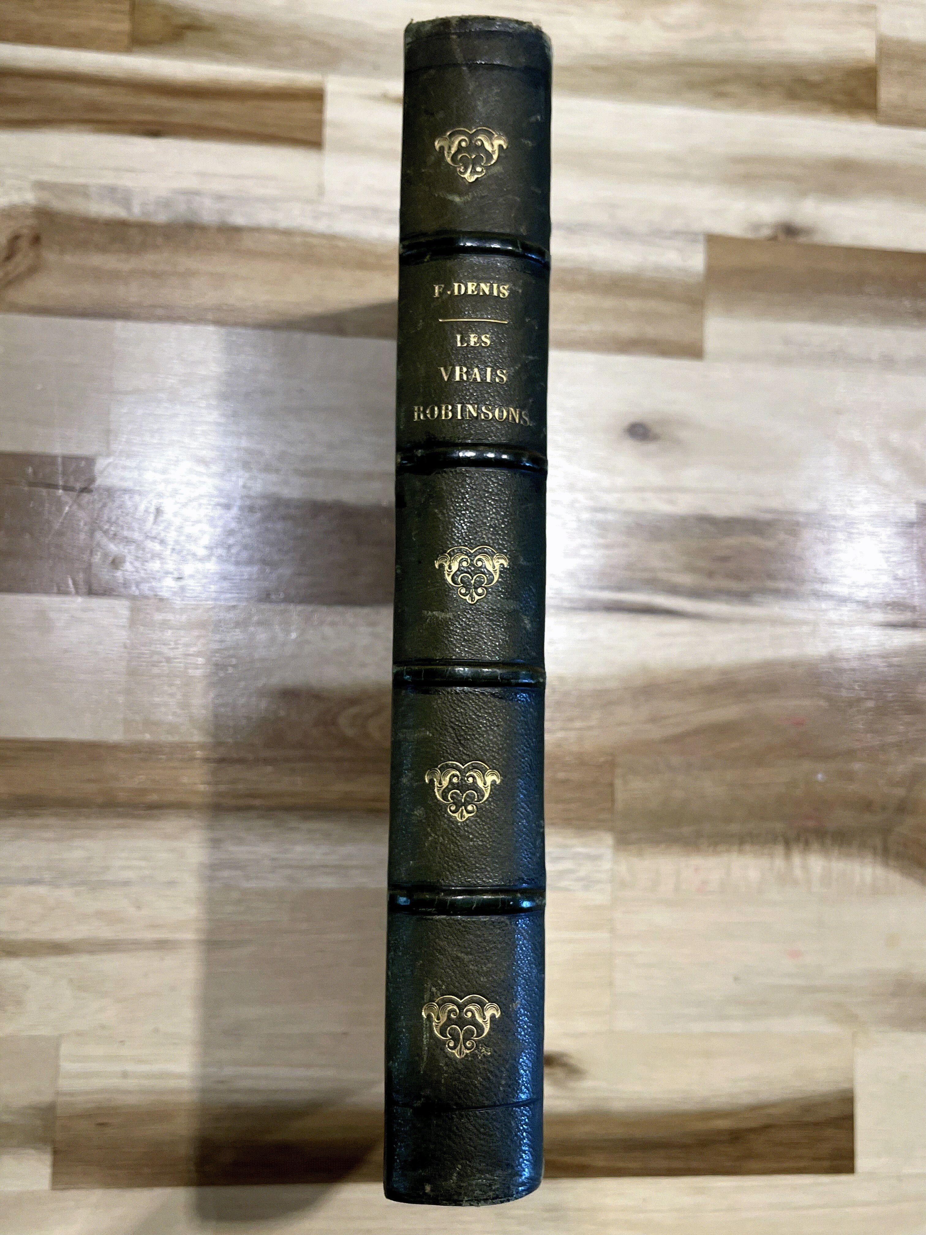 Les Vrais Robinsons – Ferdinand Denis & Victor Chauvin – Édition illustrée de 1863 – Reliure ancienne