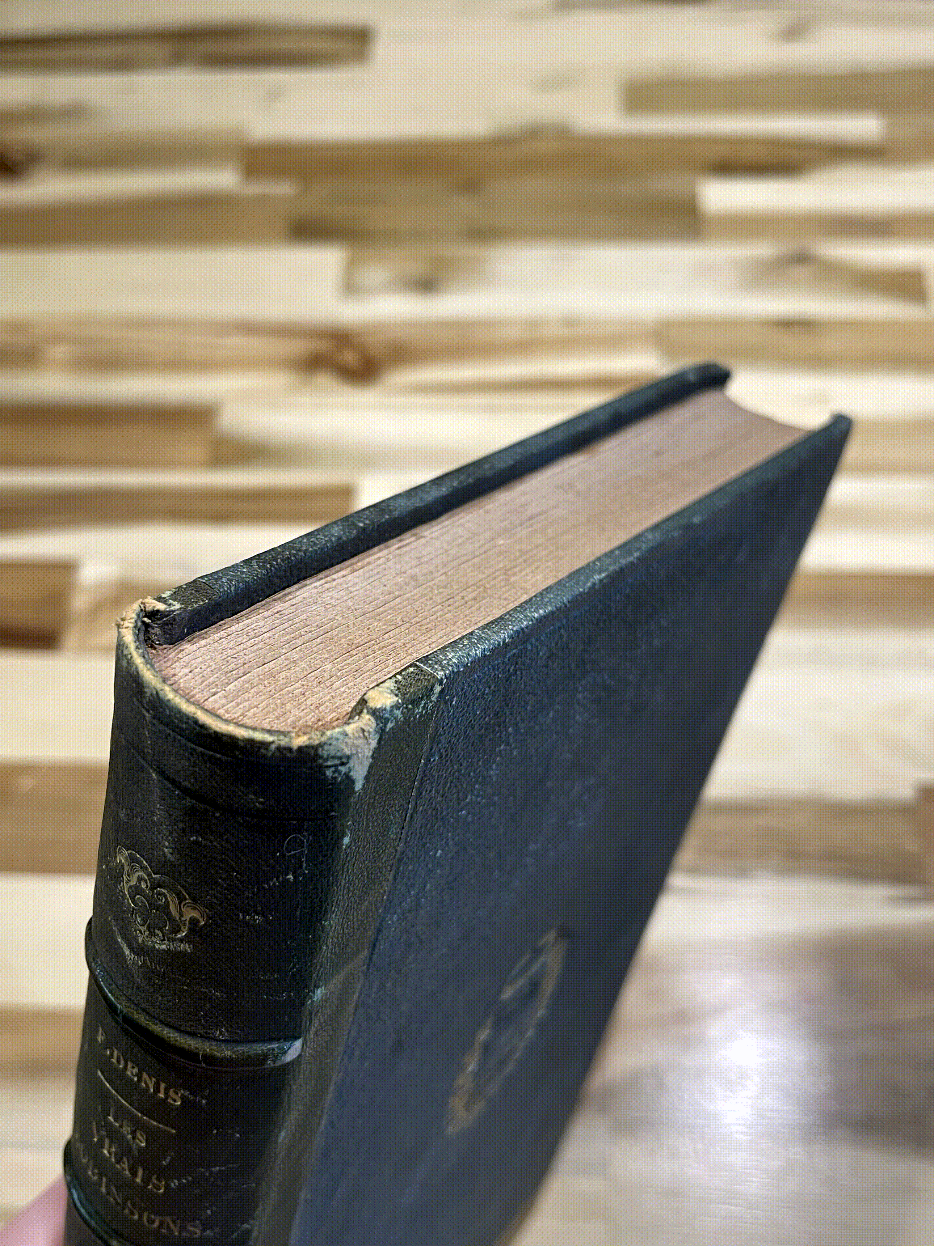 Les Vrais Robinsons – Ferdinand Denis & Victor Chauvin – Édition illustrée de 1863 – Reliure ancienne
