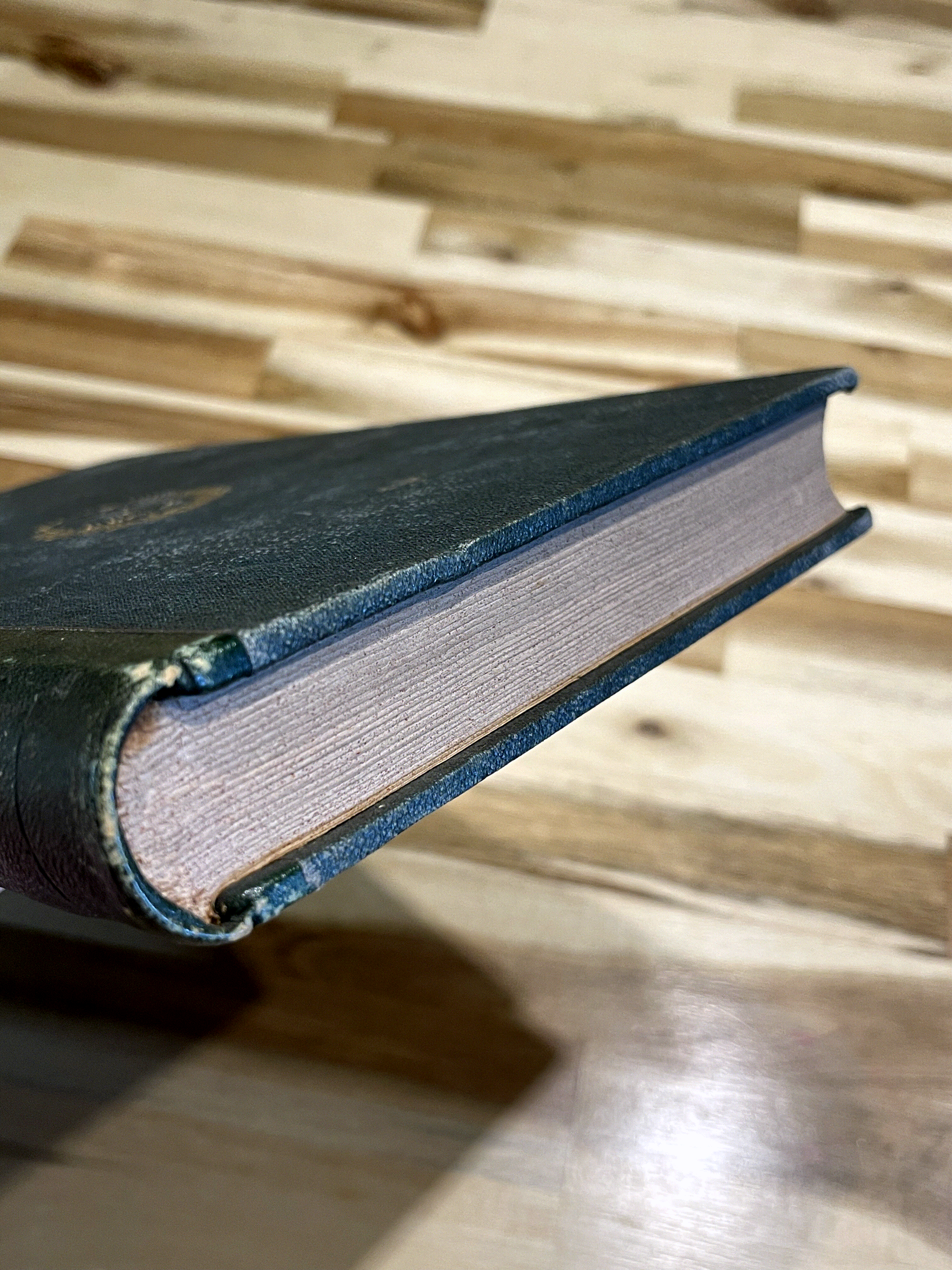 Les Vrais Robinsons – Ferdinand Denis & Victor Chauvin – Édition illustrée de 1863 – Reliure ancienne