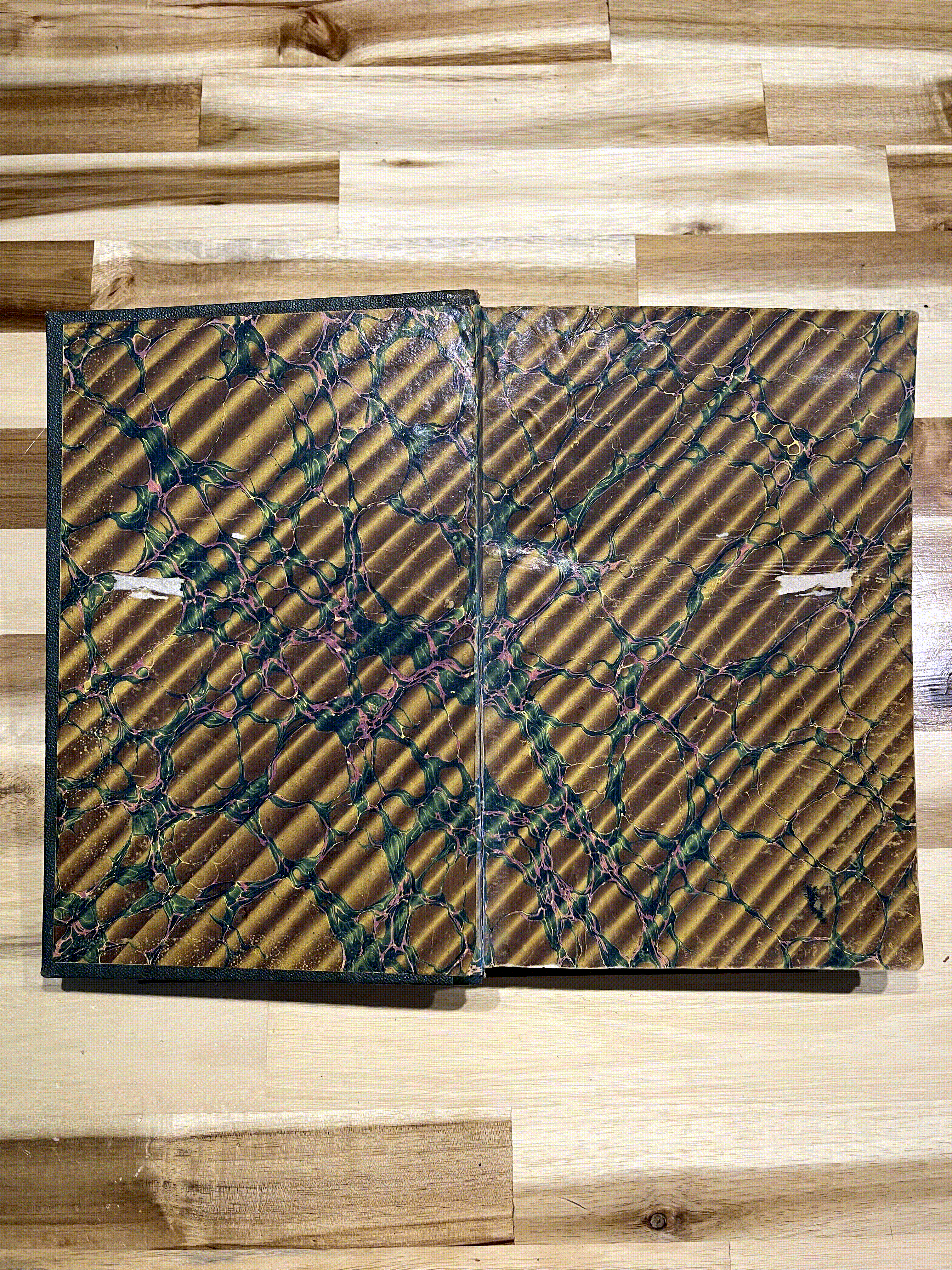 Les Vrais Robinsons – Ferdinand Denis & Victor Chauvin – Édition illustrée de 1863 – Reliure ancienne