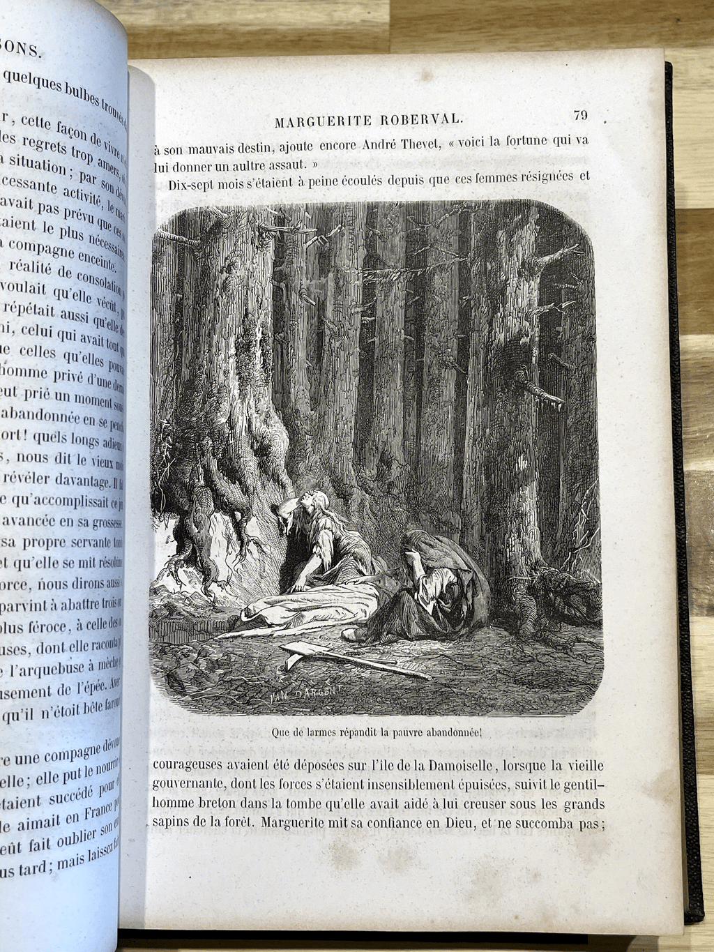 Les Vrais Robinsons – Ferdinand Denis & Victor Chauvin – Édition illustrée de 1863 – Reliure ancienne