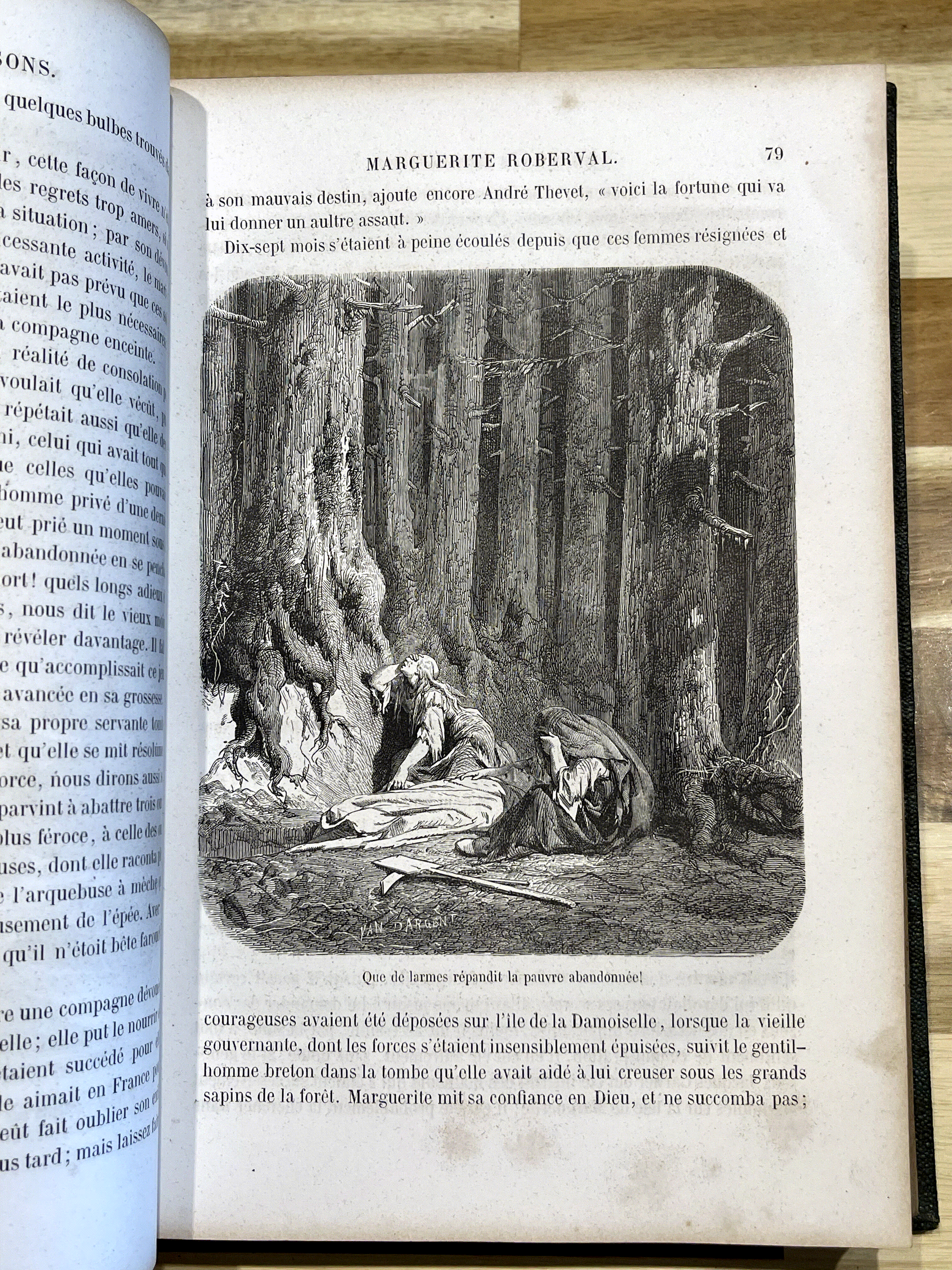 Les Vrais Robinsons – Ferdinand Denis & Victor Chauvin – Édition illustrée de 1863 – Reliure ancienne