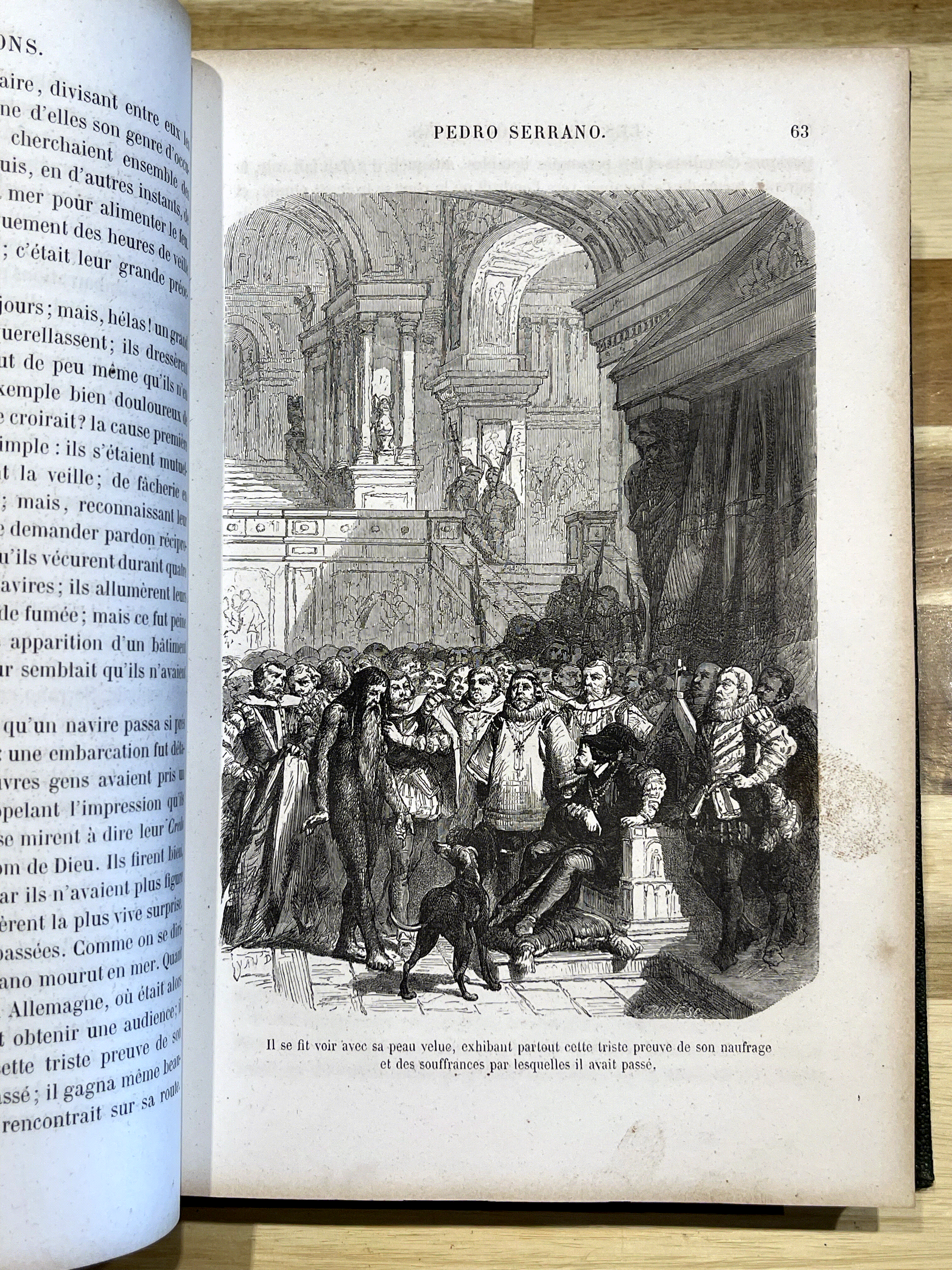 Les Vrais Robinsons – Ferdinand Denis & Victor Chauvin – Édition illustrée de 1863 – Reliure ancienne