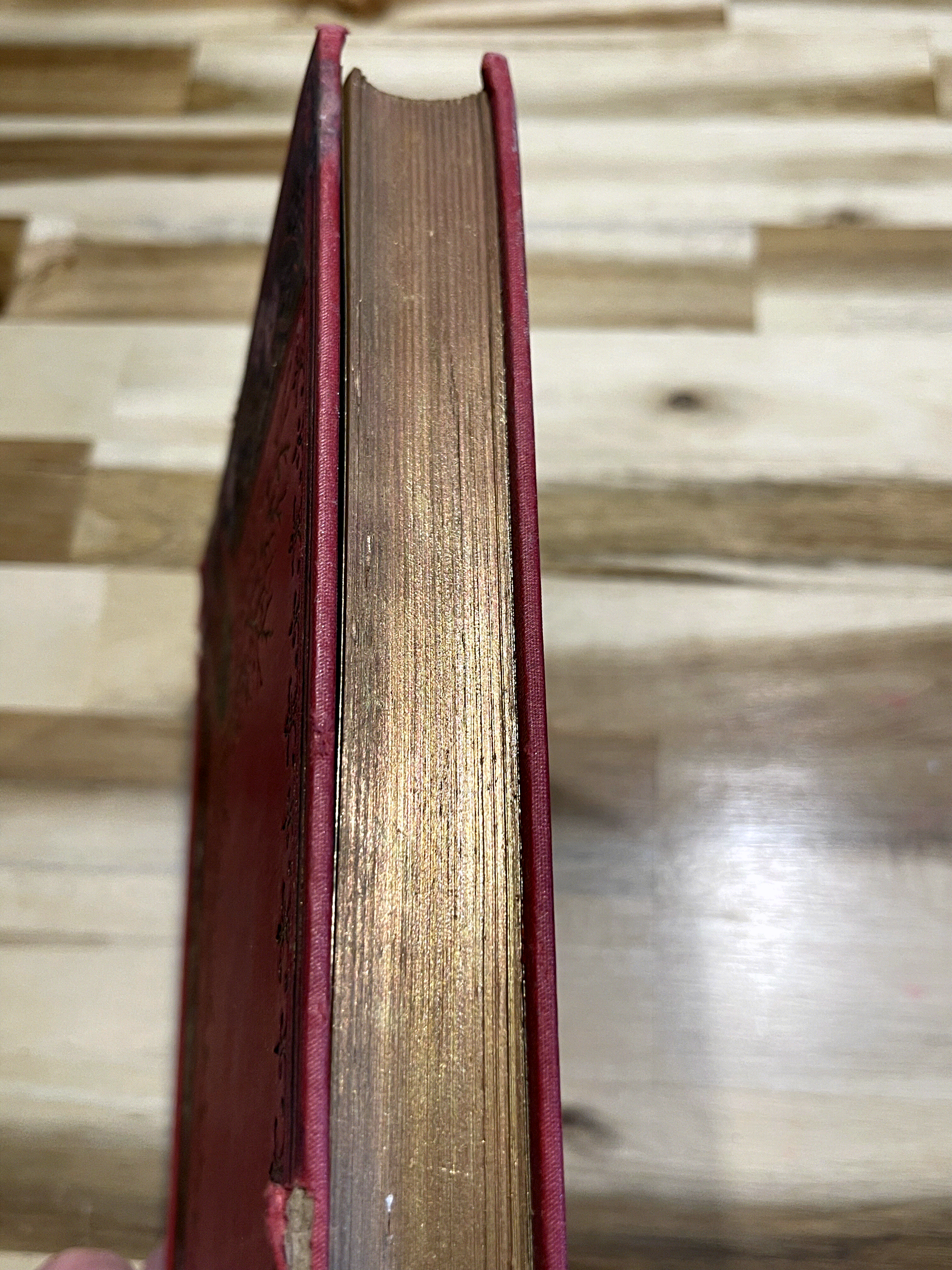 Le Roman d’un Petit Marin – H. et C. Guy – Superbe cartonnage Hachette Art nouveau – 1914