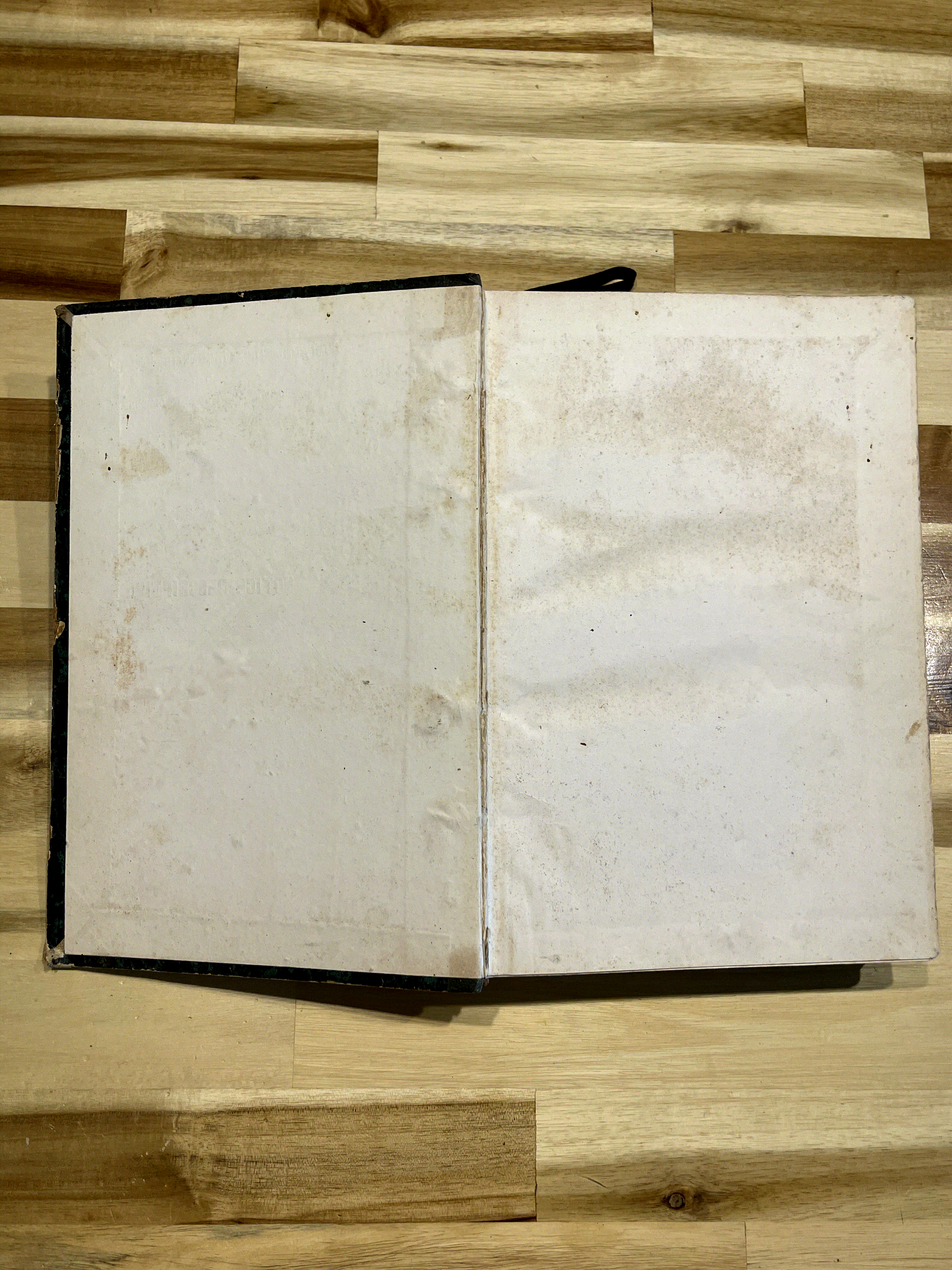 Histoire des Girondins – Tome Premier – Alphonse de Lamartine – Édition de 1847 illustrée