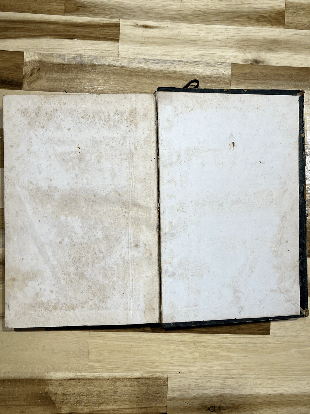 Histoire des Girondins – Tome Premier – Alphonse de Lamartine – Édition de 1847 illustrée