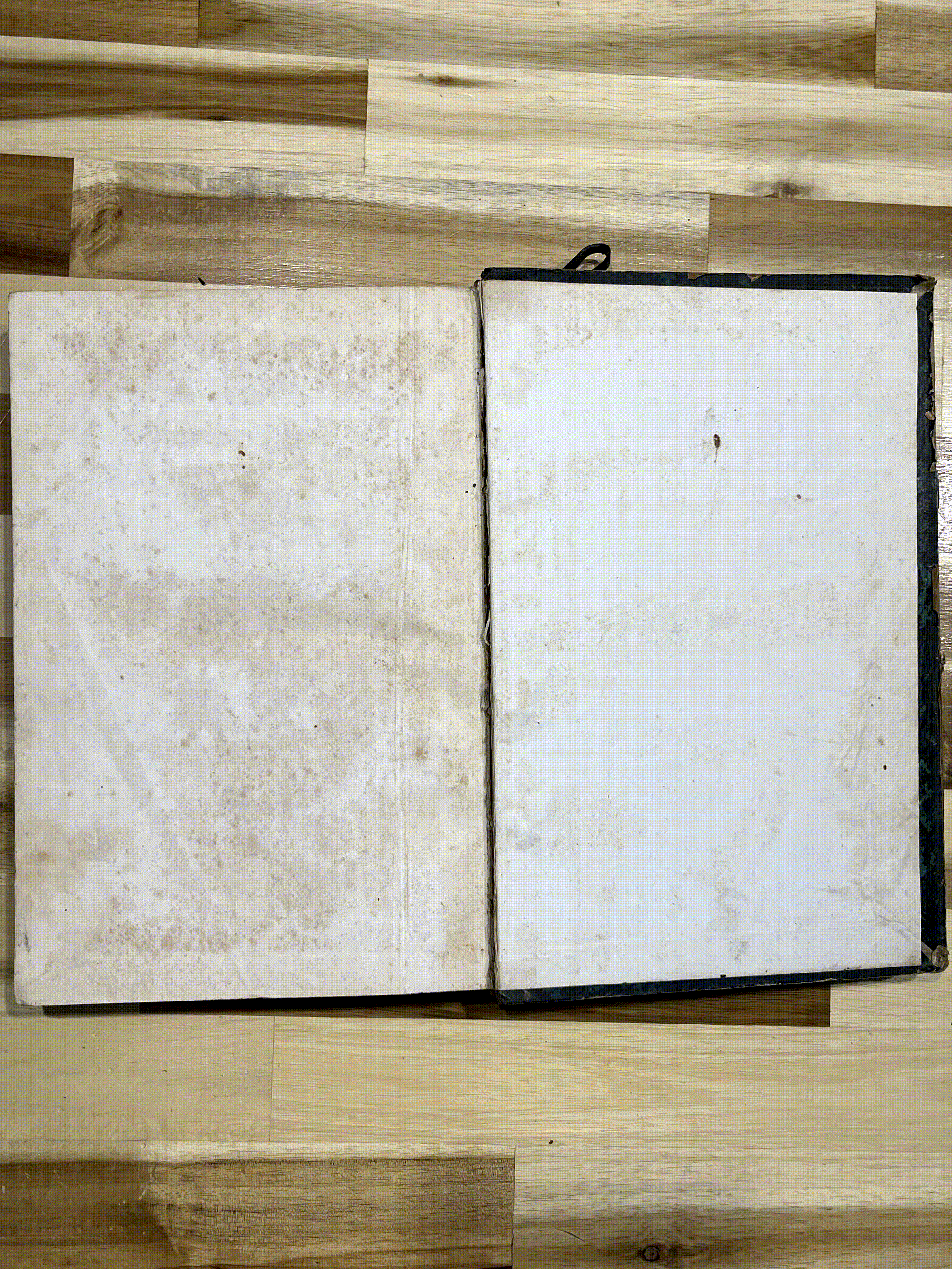 Histoire des Girondins – Tome Premier – Alphonse de Lamartine – Édition de 1847 illustrée