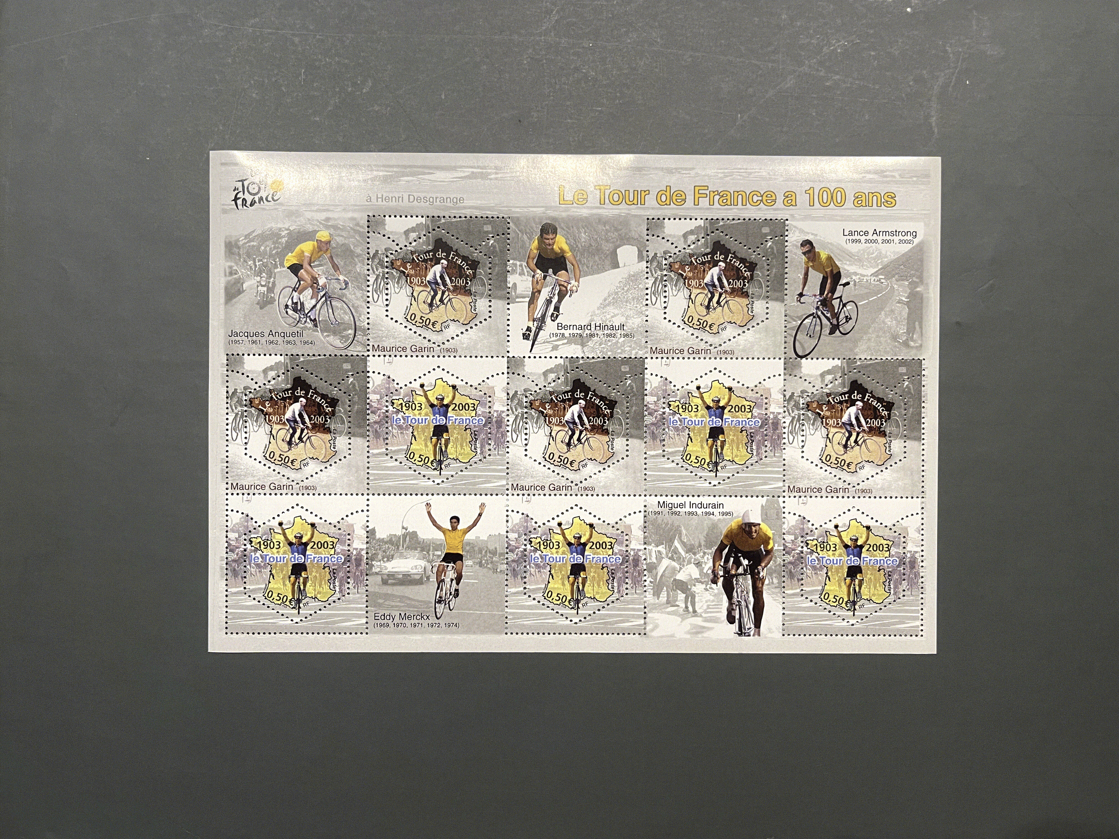 Timbre France Collection - Année 2003 complète - NEUFS** sans charnière - MNH + Blocs + Carnets