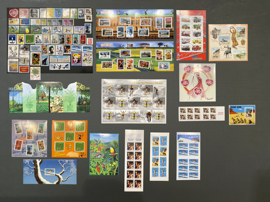Timbre France Collection - Année 2003 complète - NEUFS** sans charnière - MNH + Blocs + Carnets