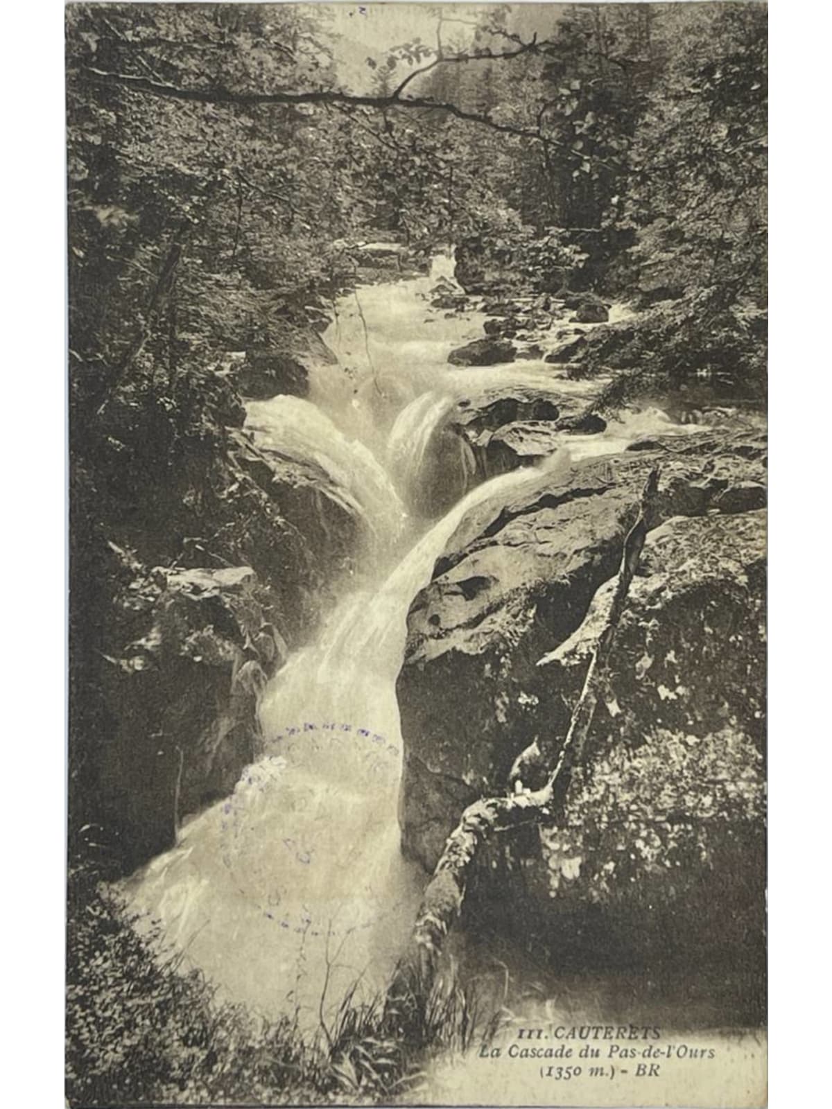 Recto de la carte postale