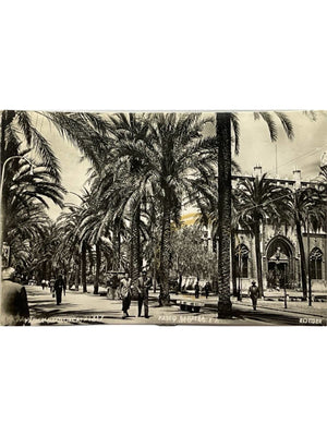 Palma de Majorque – Paseo Sagrera et promenade aux palmiers – CPSM 1955