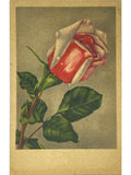 Recto de la carte postale