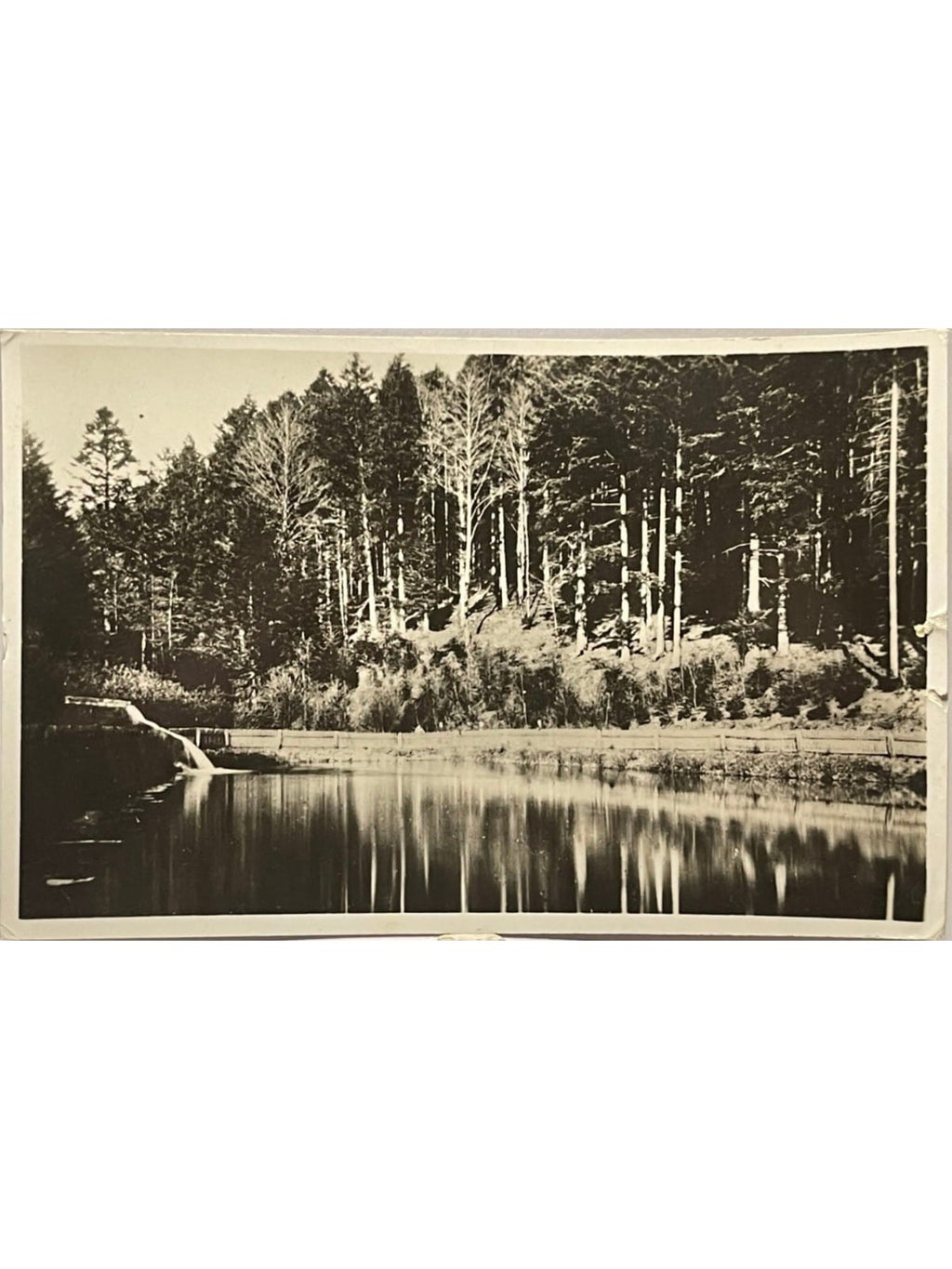 Recto de la carte postale
