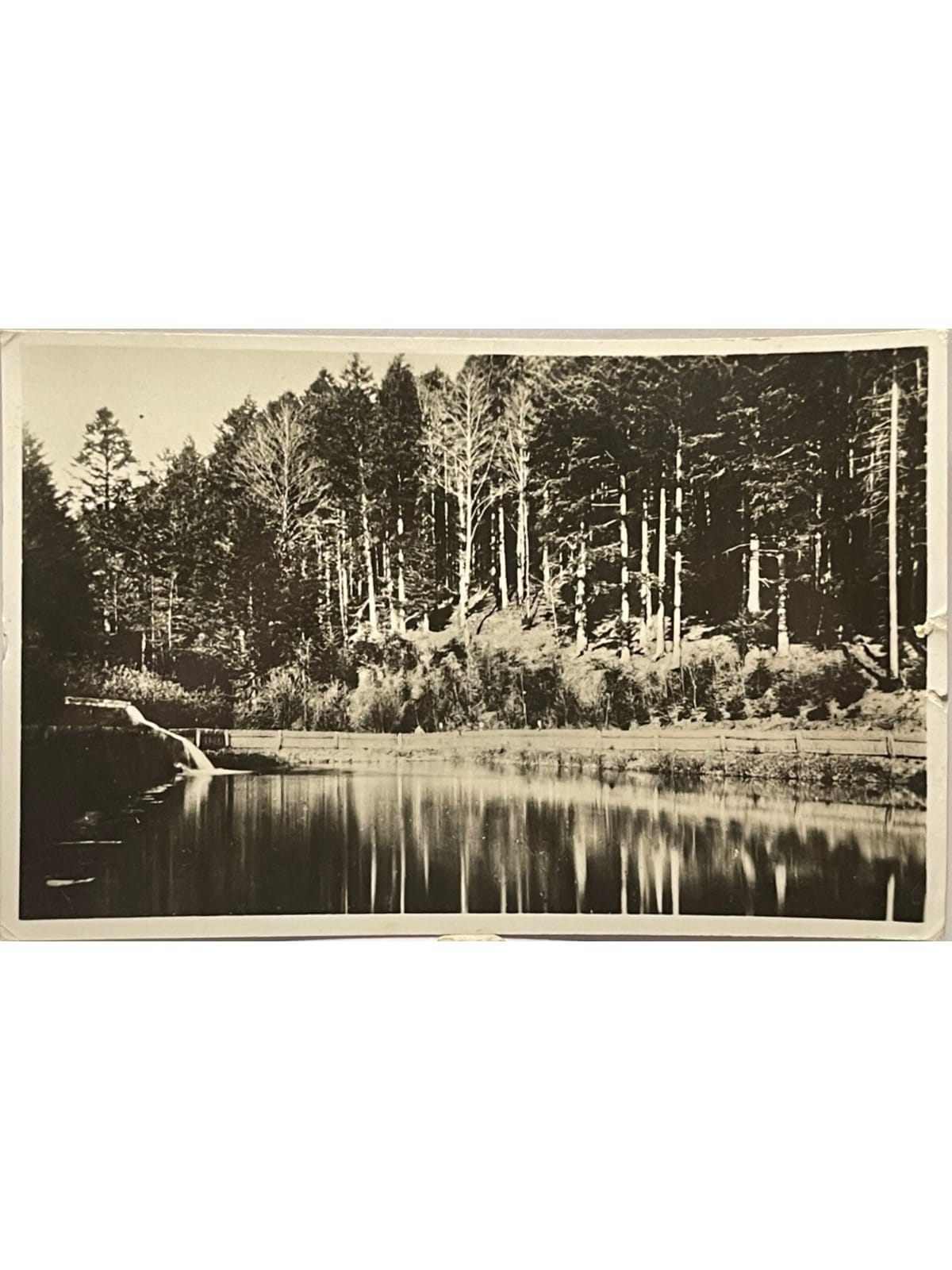 Recto de la carte postale