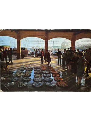 Blanes – Vente à la criée du poisson, Costa Brava – CPSM n°449