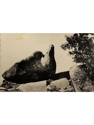 Carte postale – Le Sidobre (Tarn) – Le Roc de l'Oie – APA-Poux n° 9