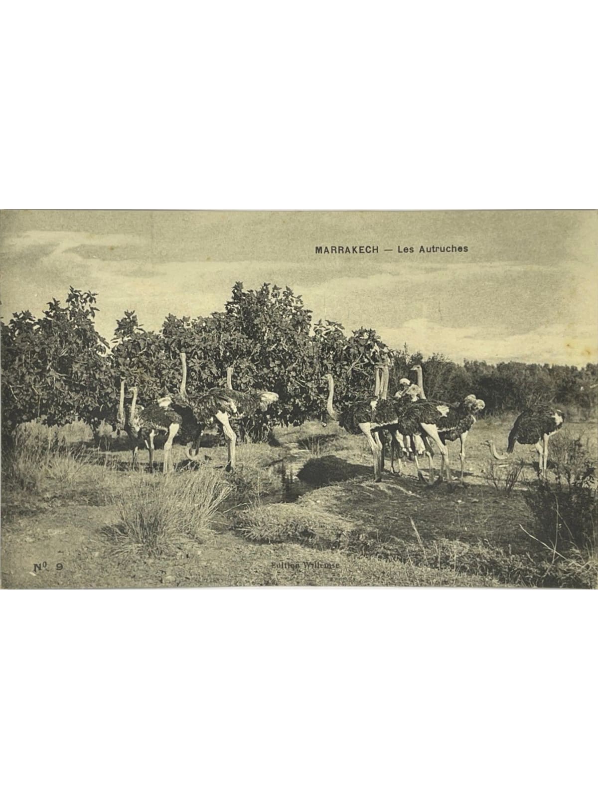 Recto de la carte postale