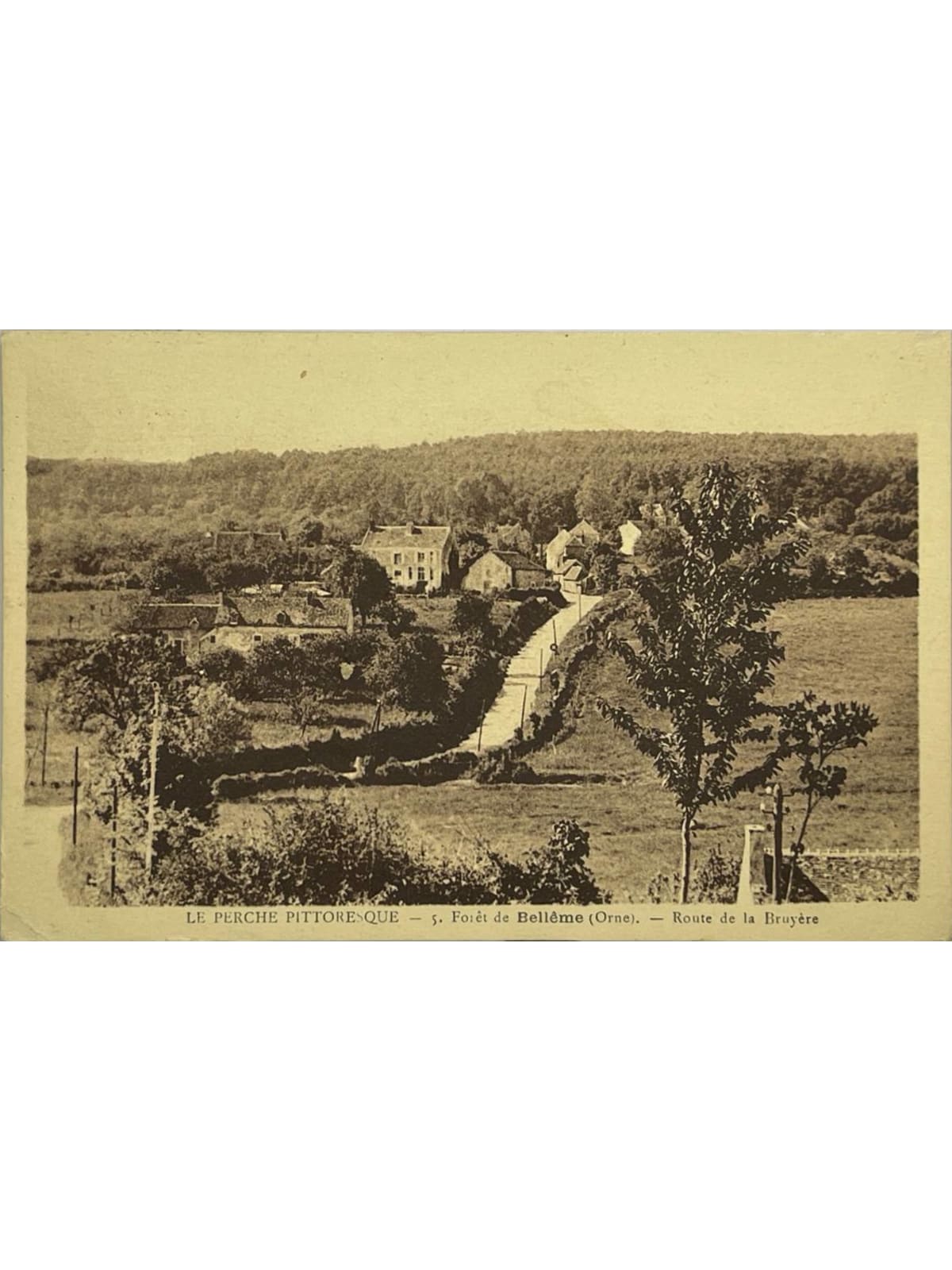 Recto de la carte postale