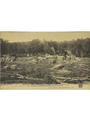 Scierie landaise fonctionnant en forêt – CPA n° 38 – Éd. Labèque, Dax