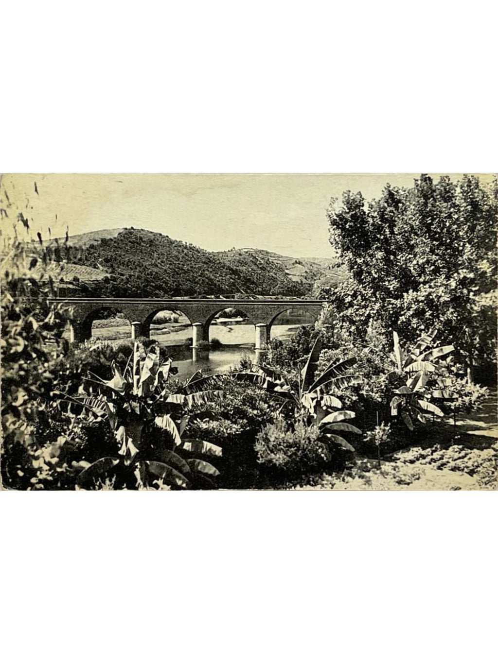 Recto de la carte postale