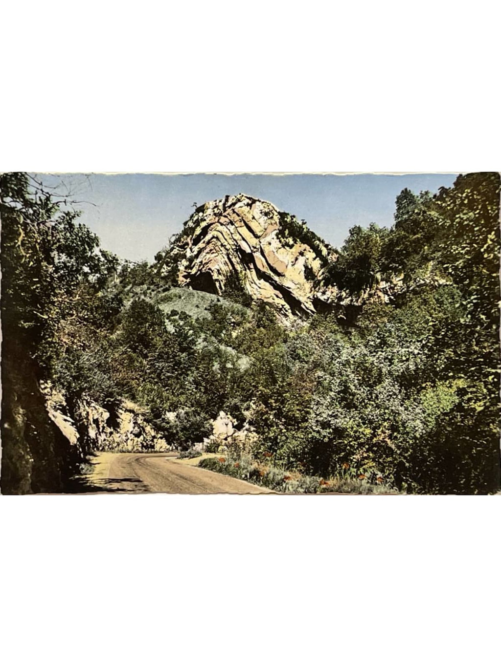 Recto de la carte postale