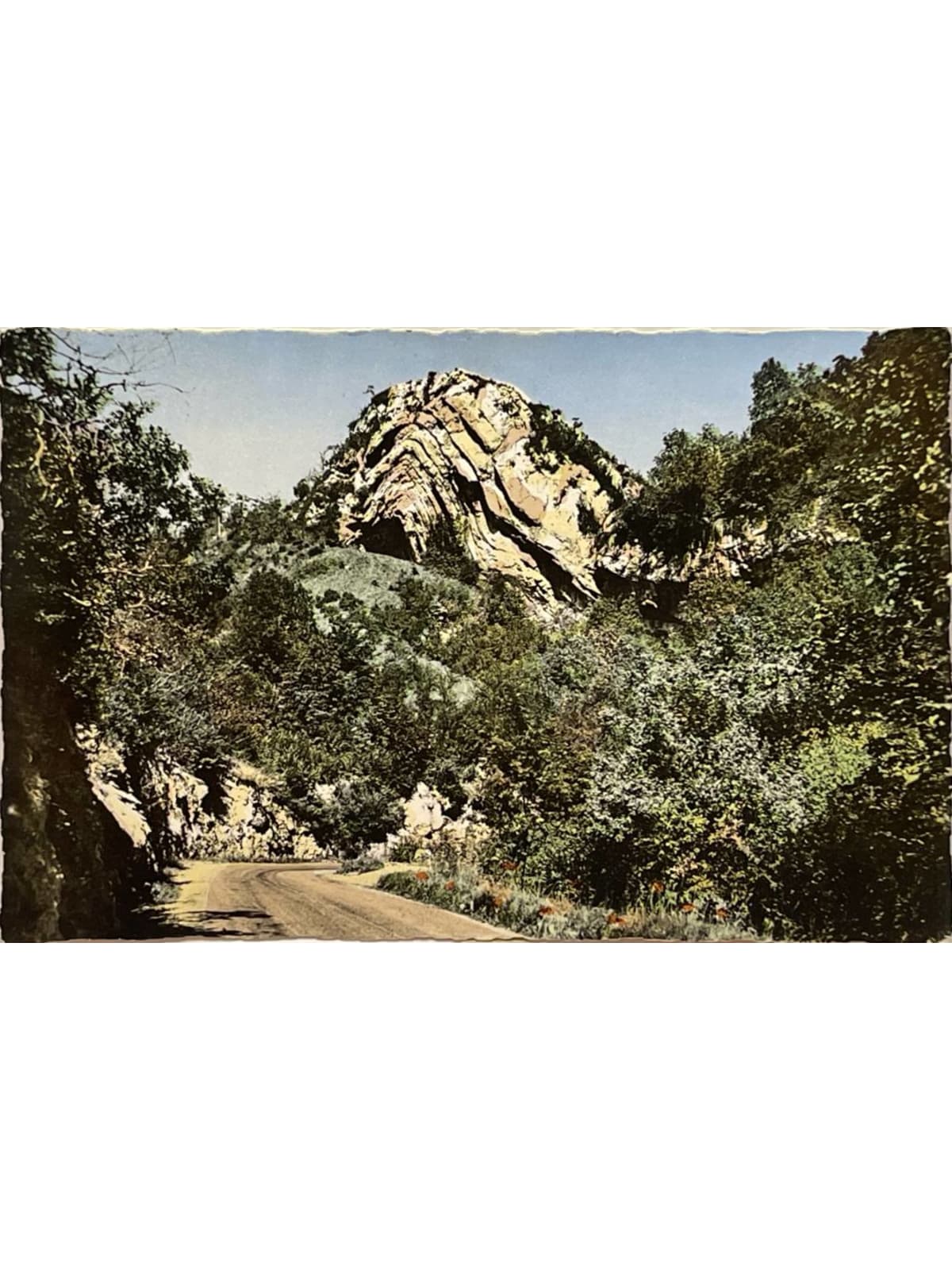 Recto de la carte postale