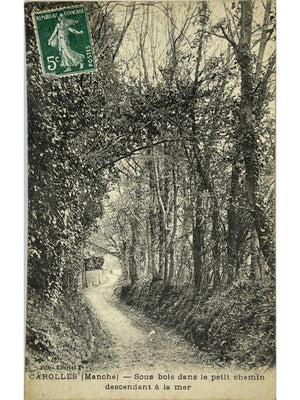Carolles (Manche) – Sous-bois et chemin descendant à la mer – CPA