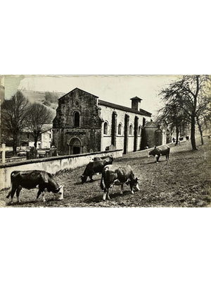 Marnans (Isère) – Église du XIe siècle et bovins – CPSM 1966
