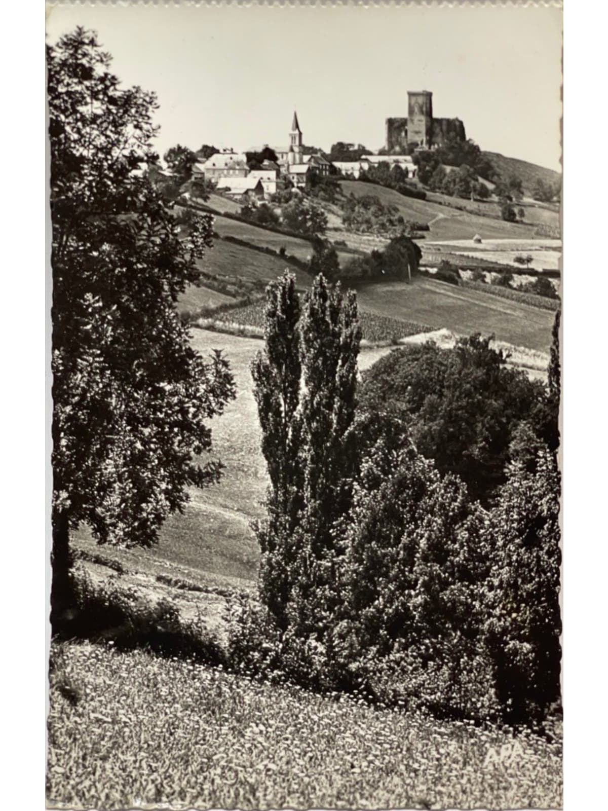 Recto de la carte postale